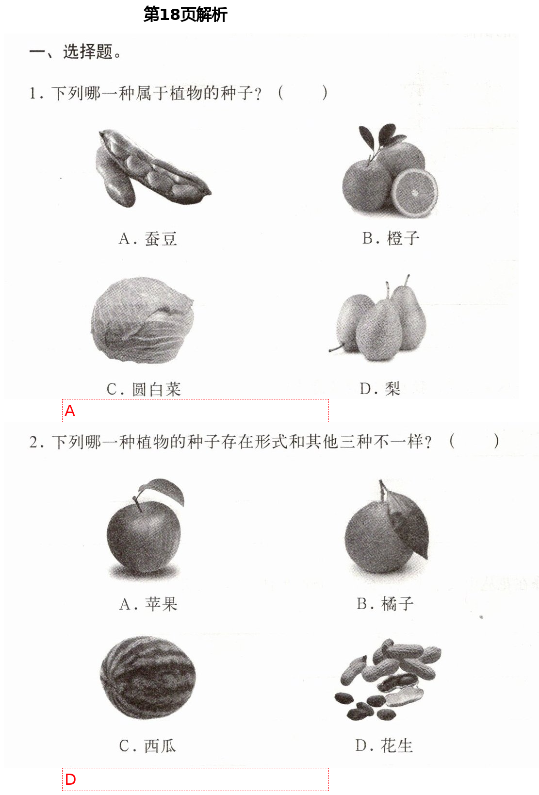 2021年新思维伴你学四年级科学下册教科版 第18页