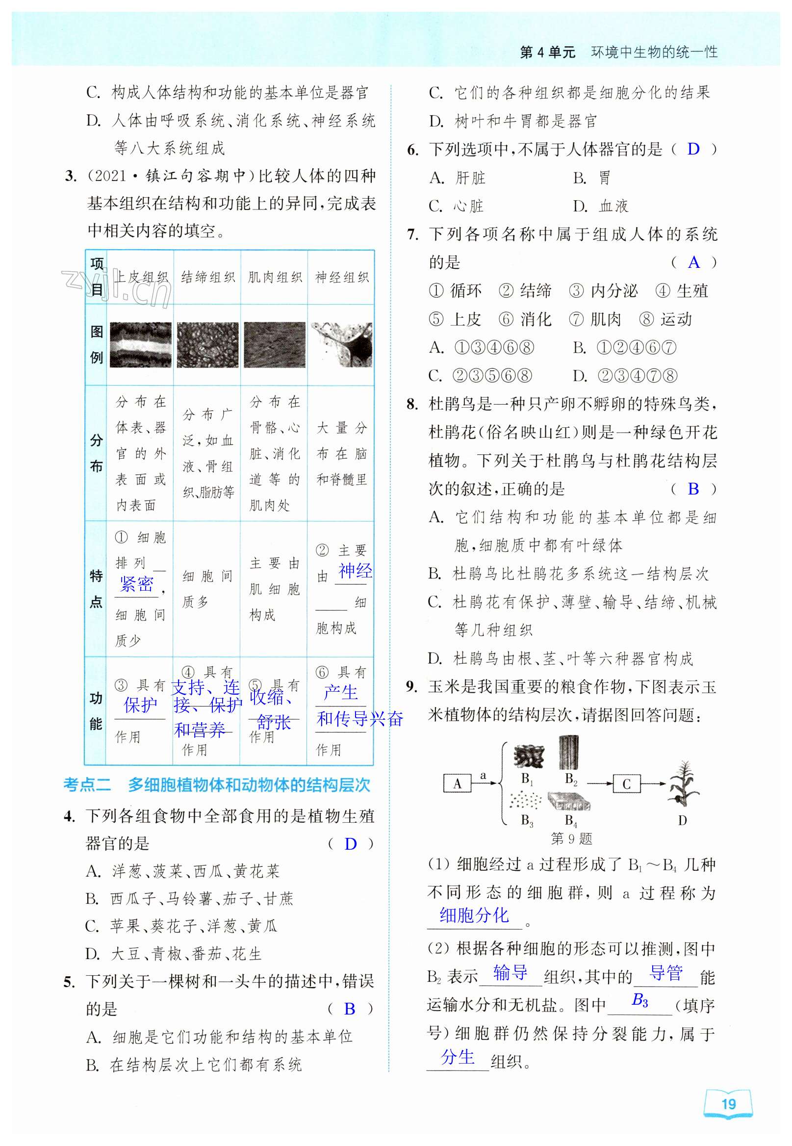 第19頁