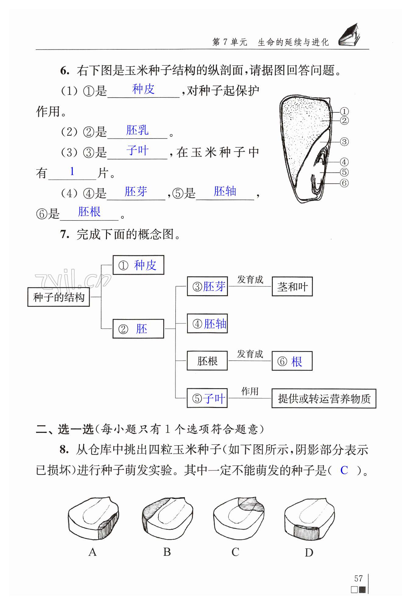 第57頁(yè)