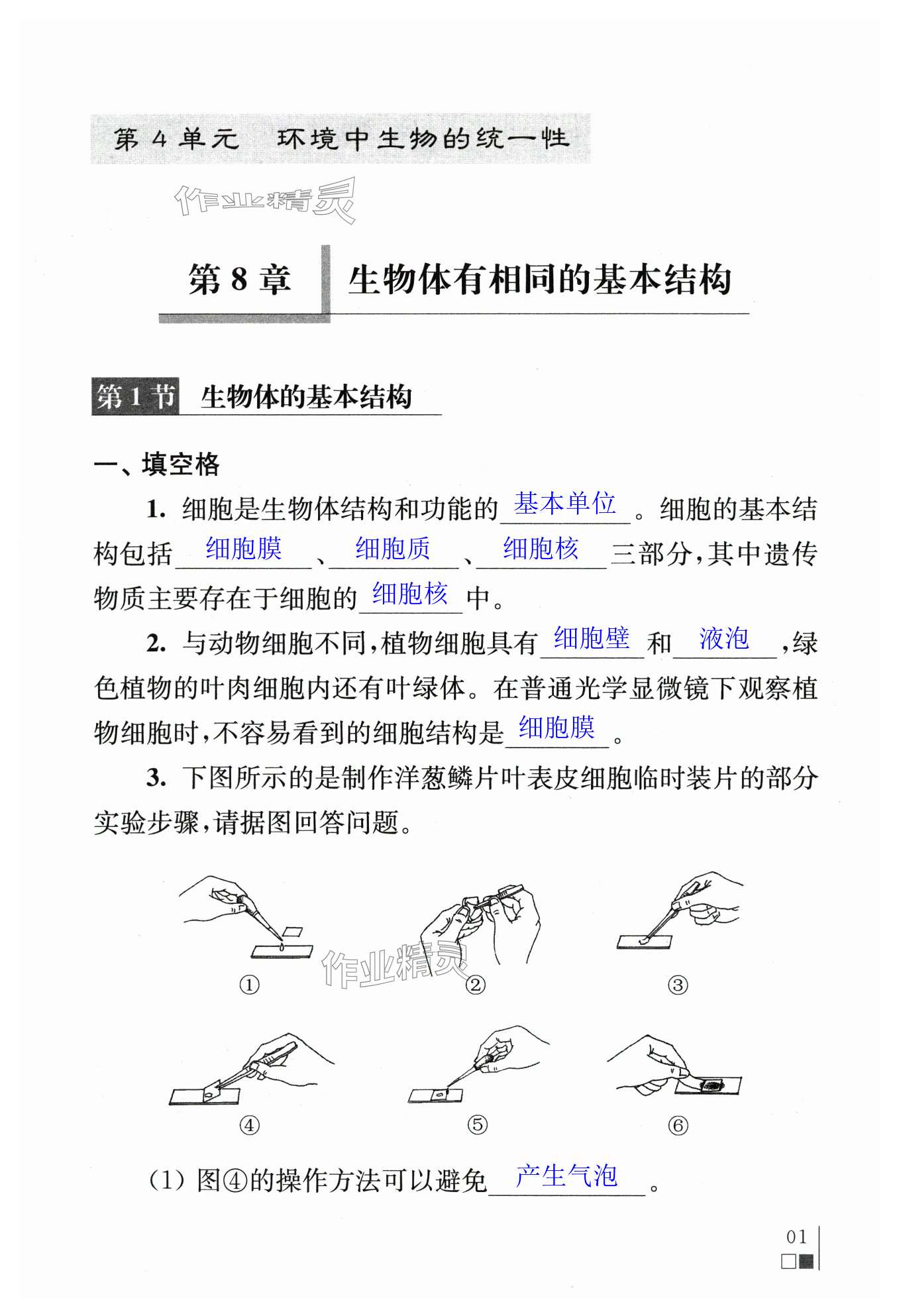 2024年補充習(xí)題江蘇七年級生物下冊蘇科版 第1頁