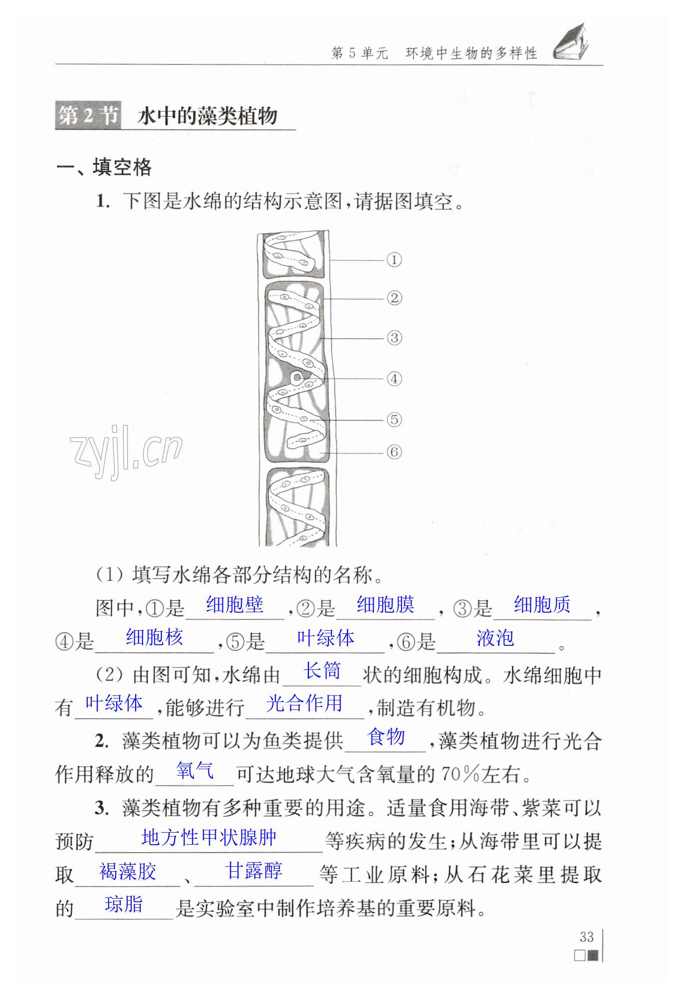 第33页