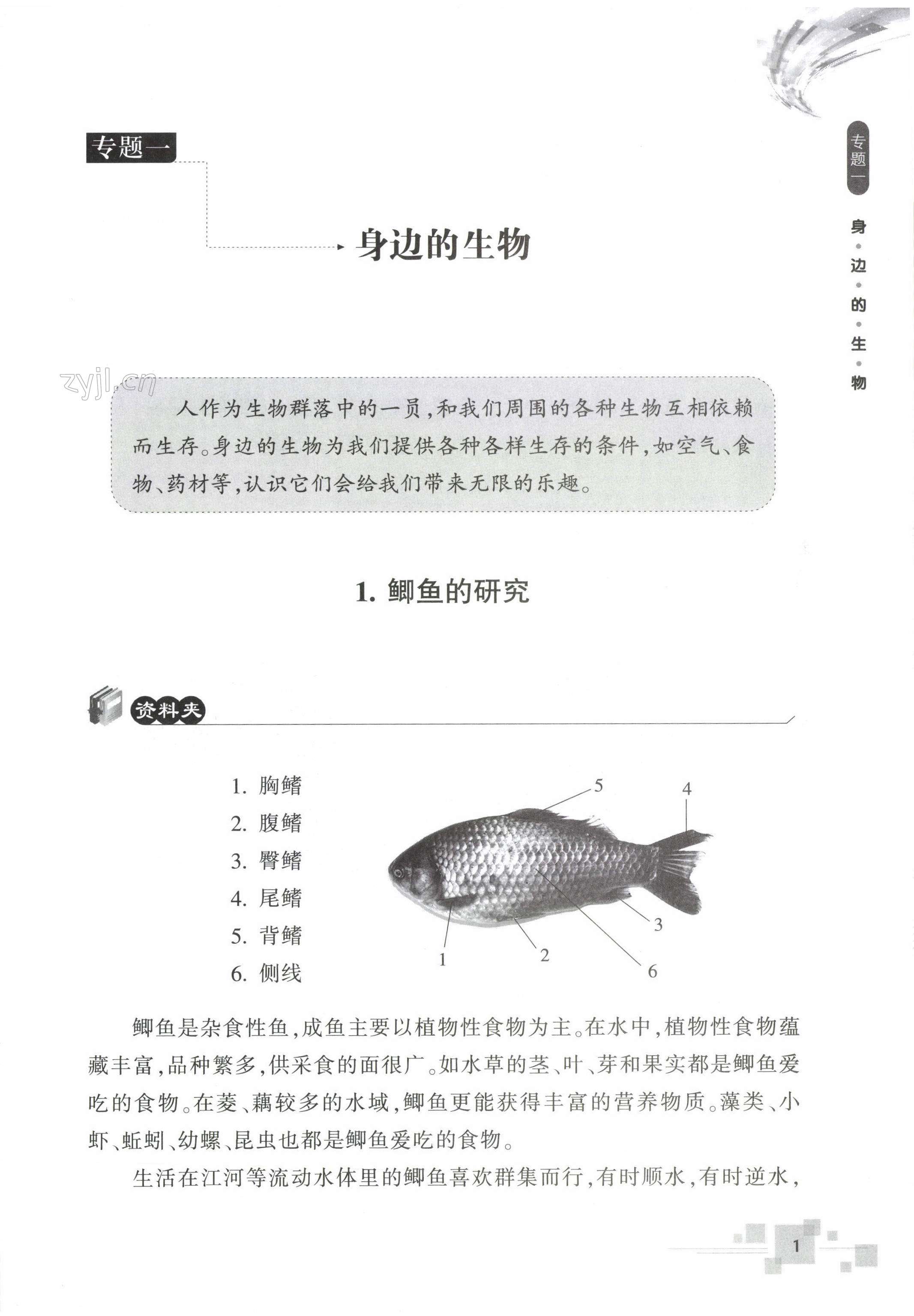 2022年輕松上初中暑假作業(yè)浙江教育出版社科學(xué)升級版 第1頁