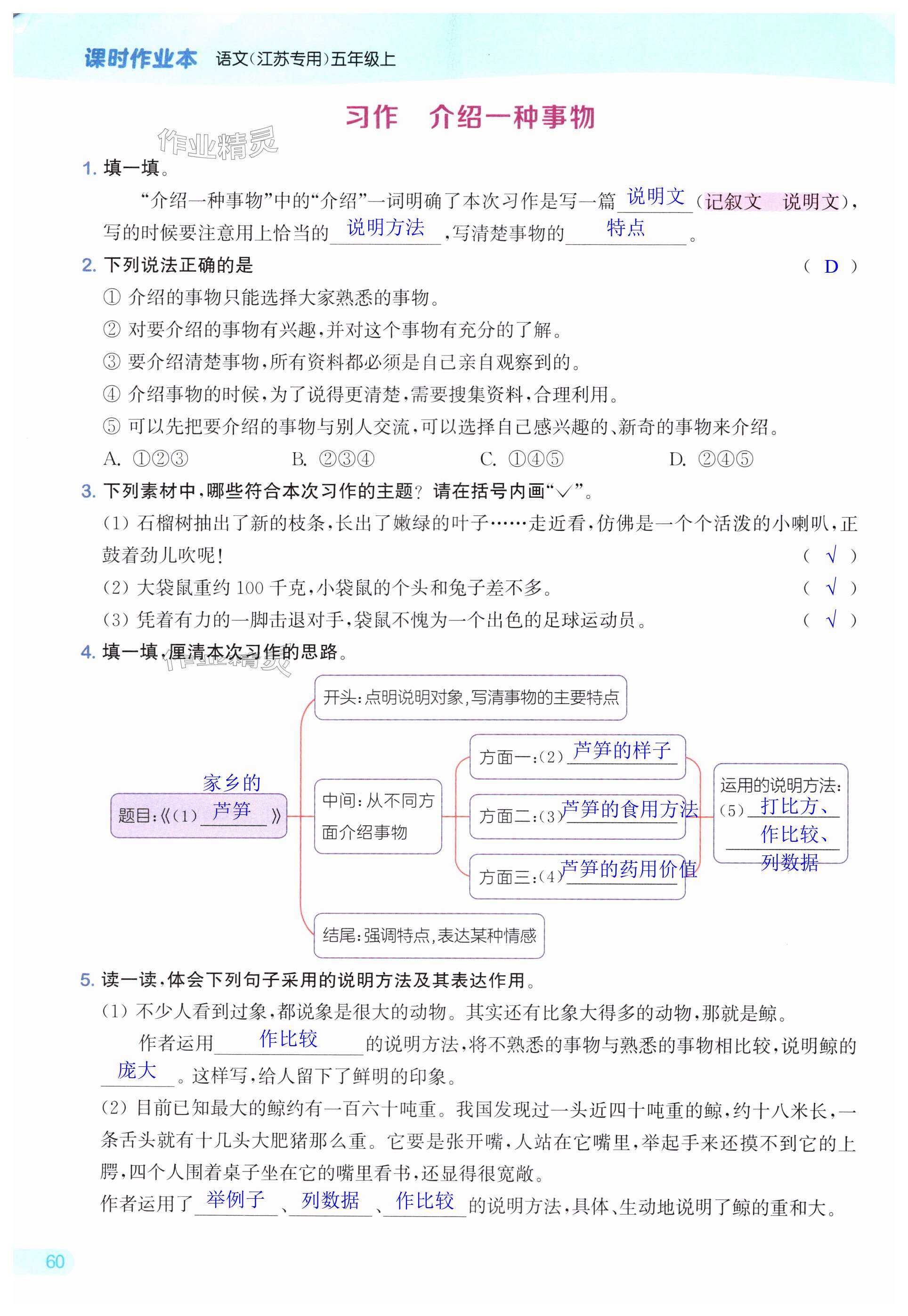 第60頁