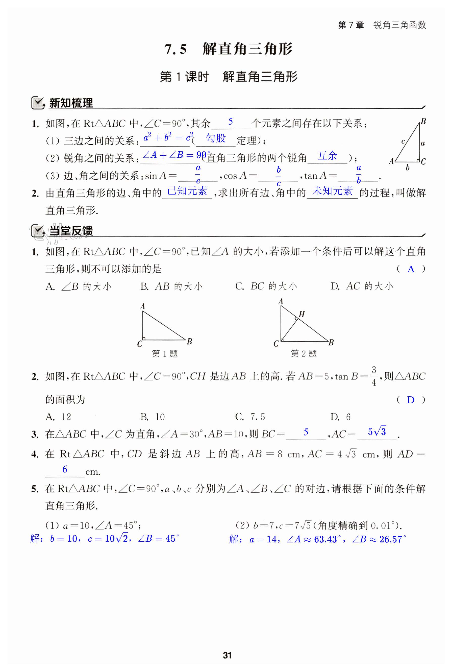 第31页