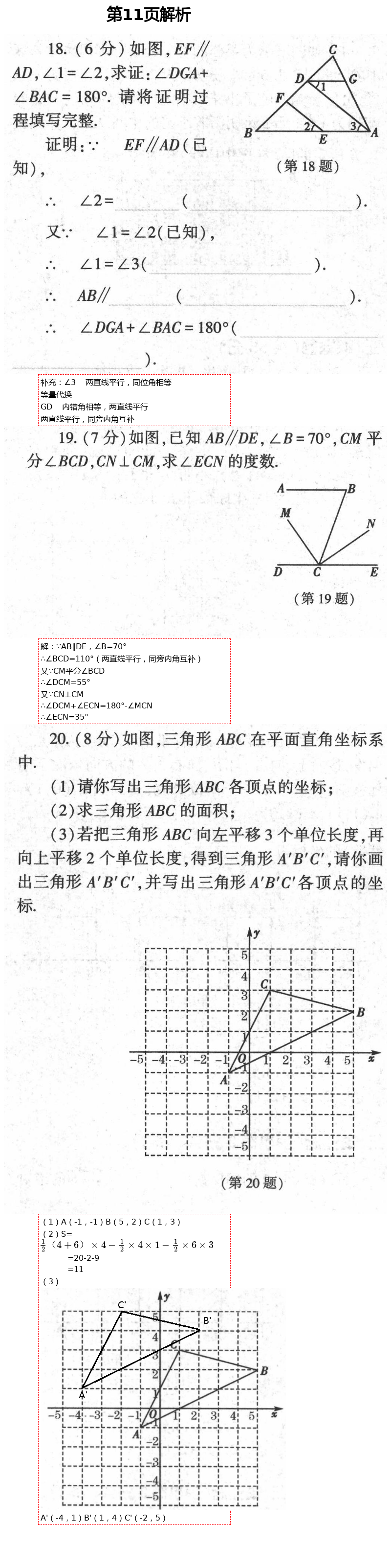 2021年基礎(chǔ)訓練七年級數(shù)學下冊人教版大象出版社 參考答案第22頁