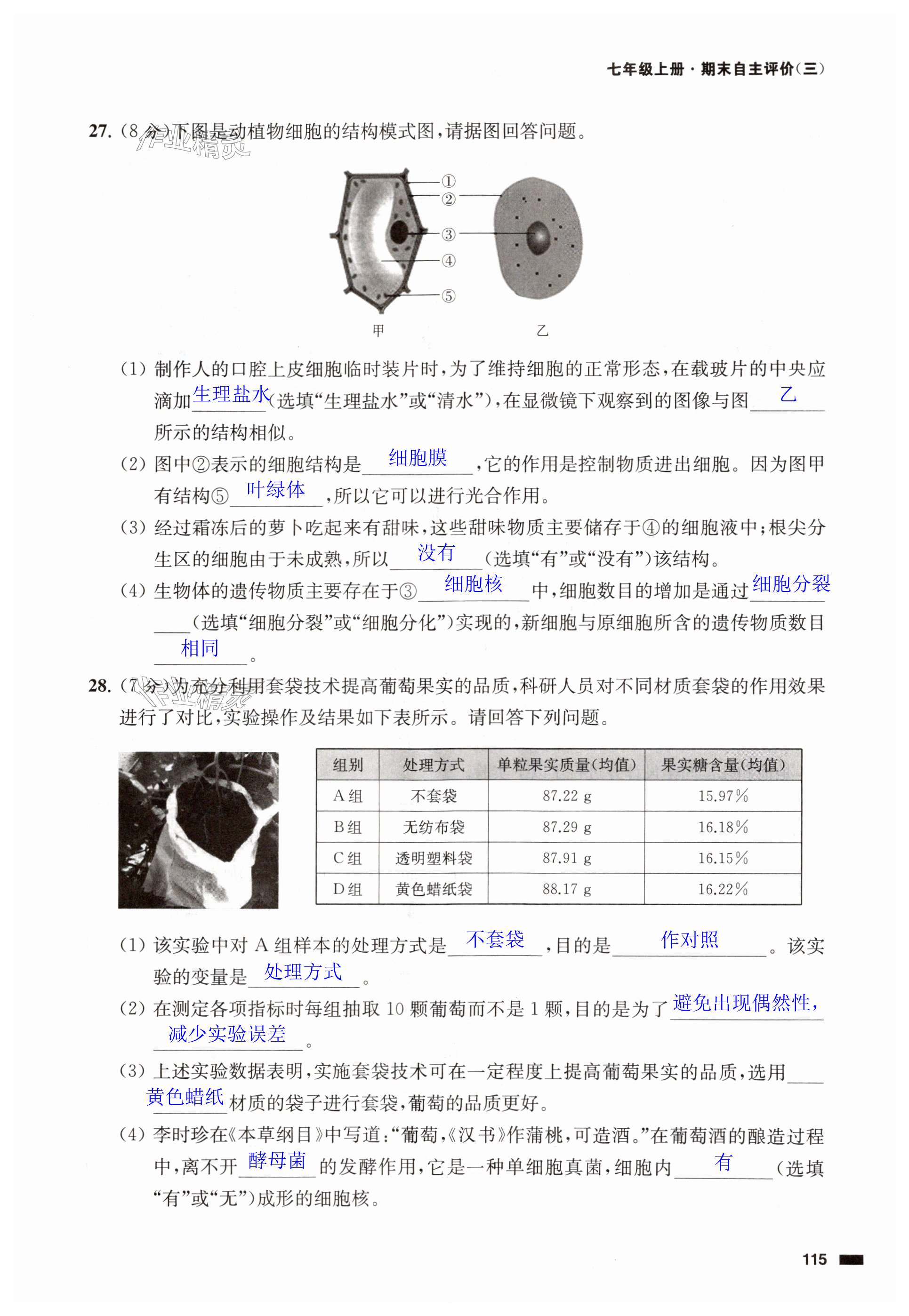 第115頁