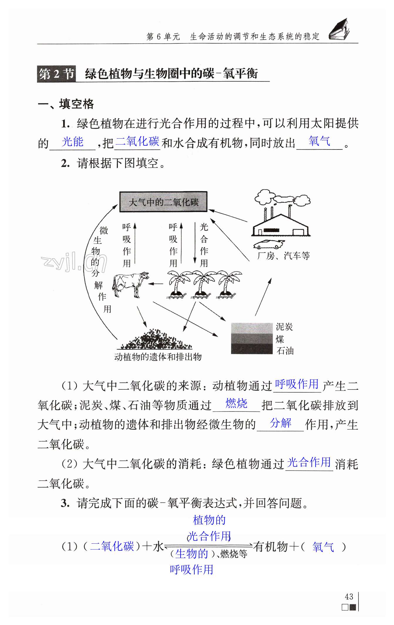 第43頁