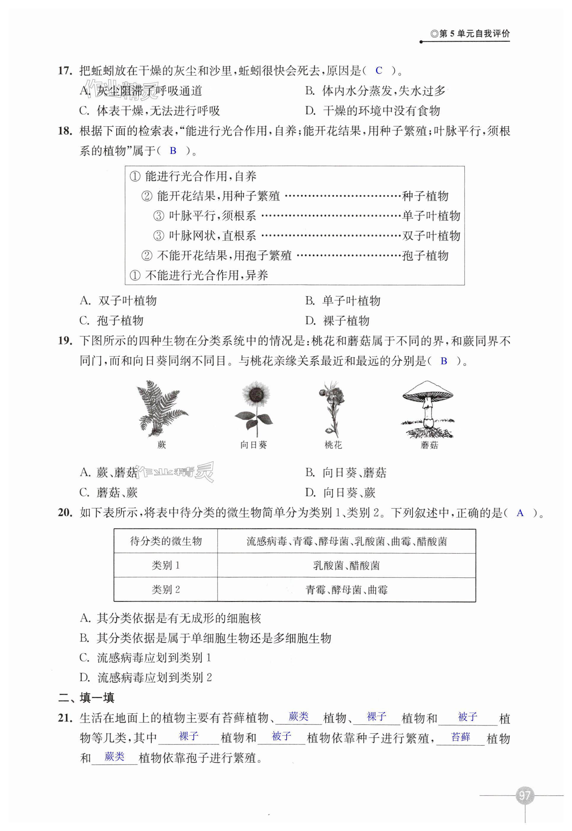 第97頁(yè)