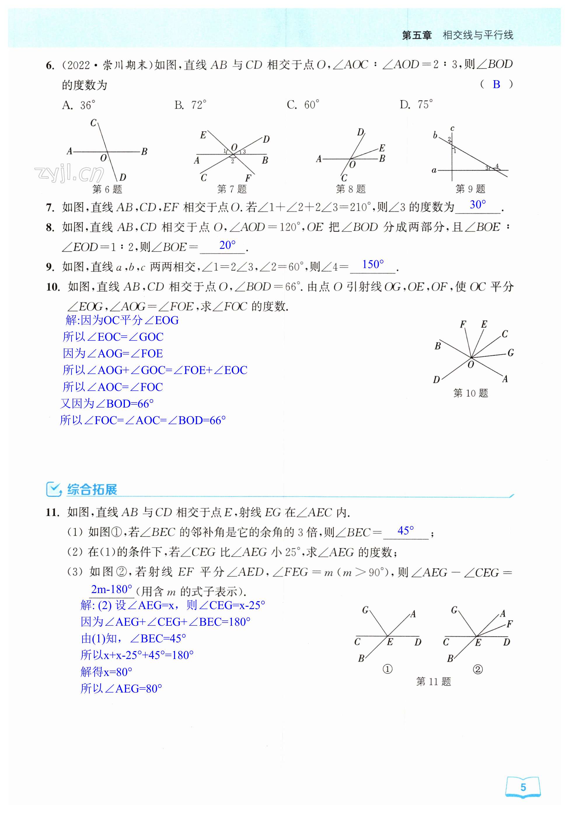 第5页