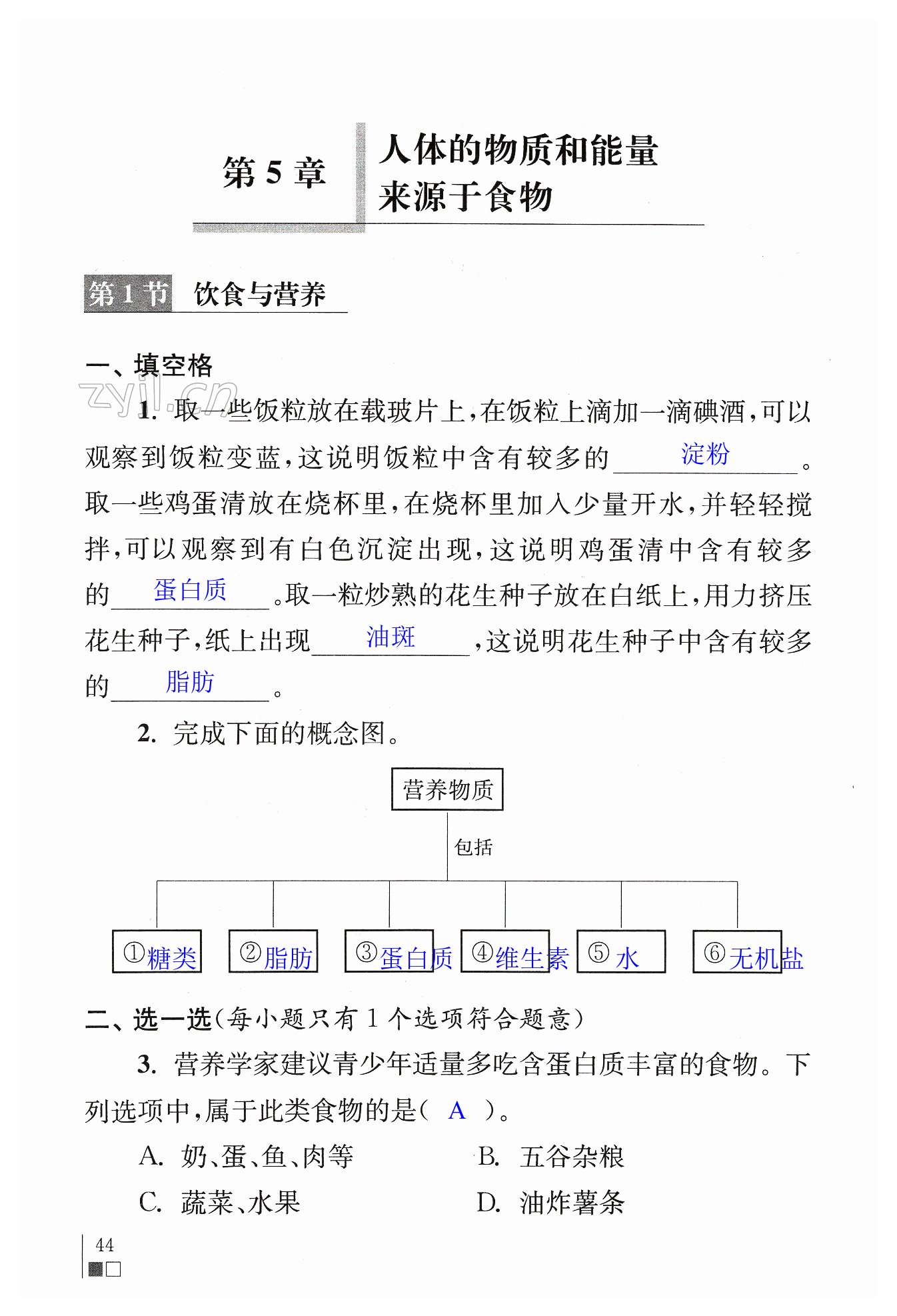 第44页