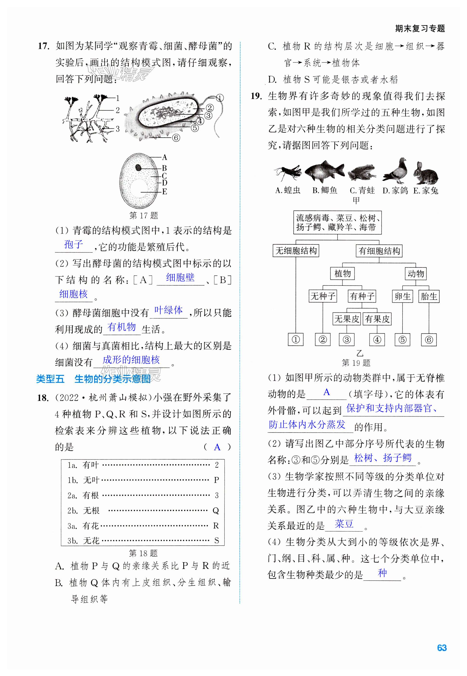 第63頁