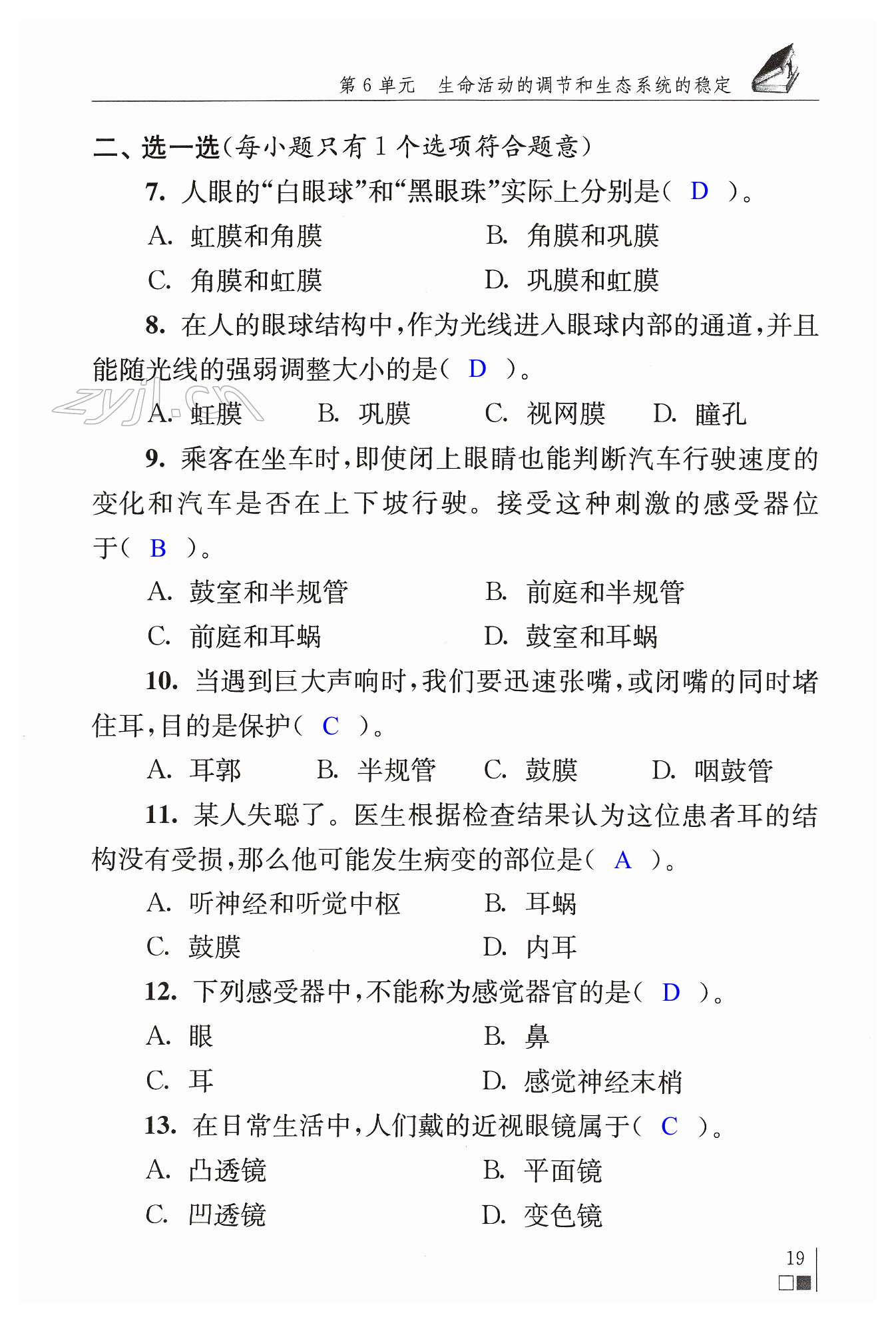 第19页