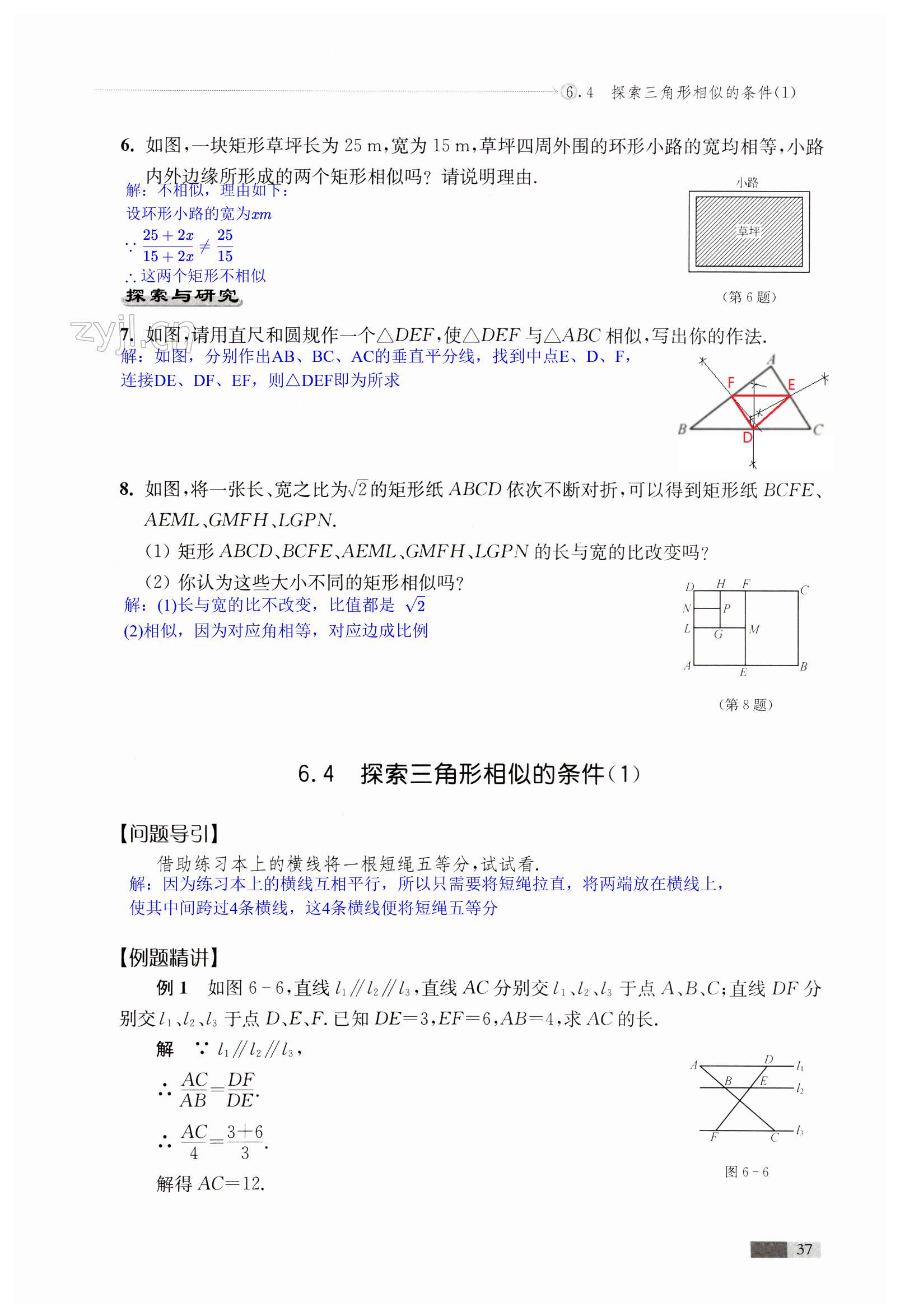 第37頁