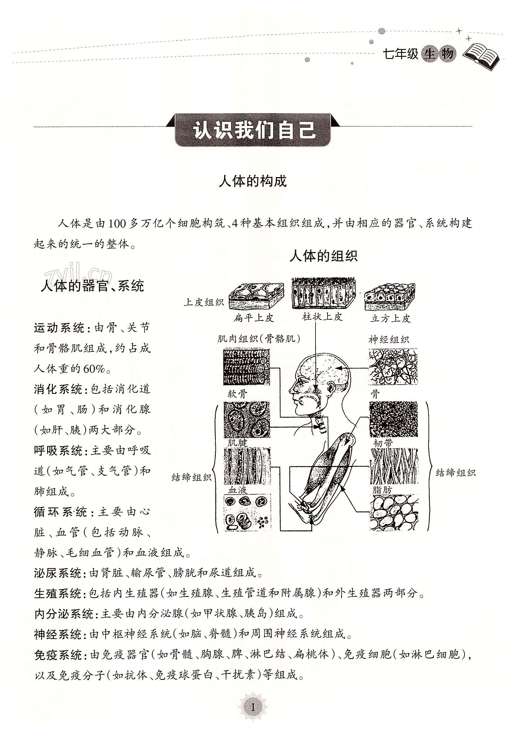 2022年暑假乐园海南出版社七年级生物人教版 第1页