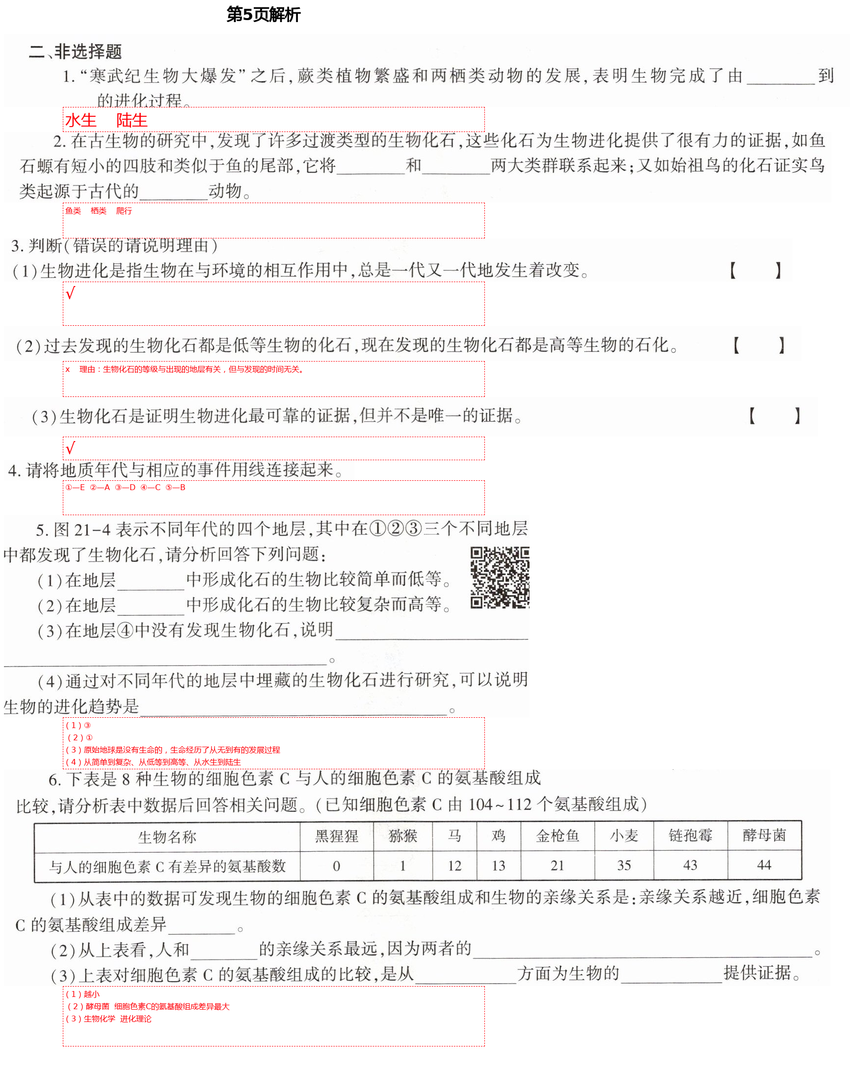 2021年基礎訓練八年級生物下冊北師大版大象出版社 第5頁