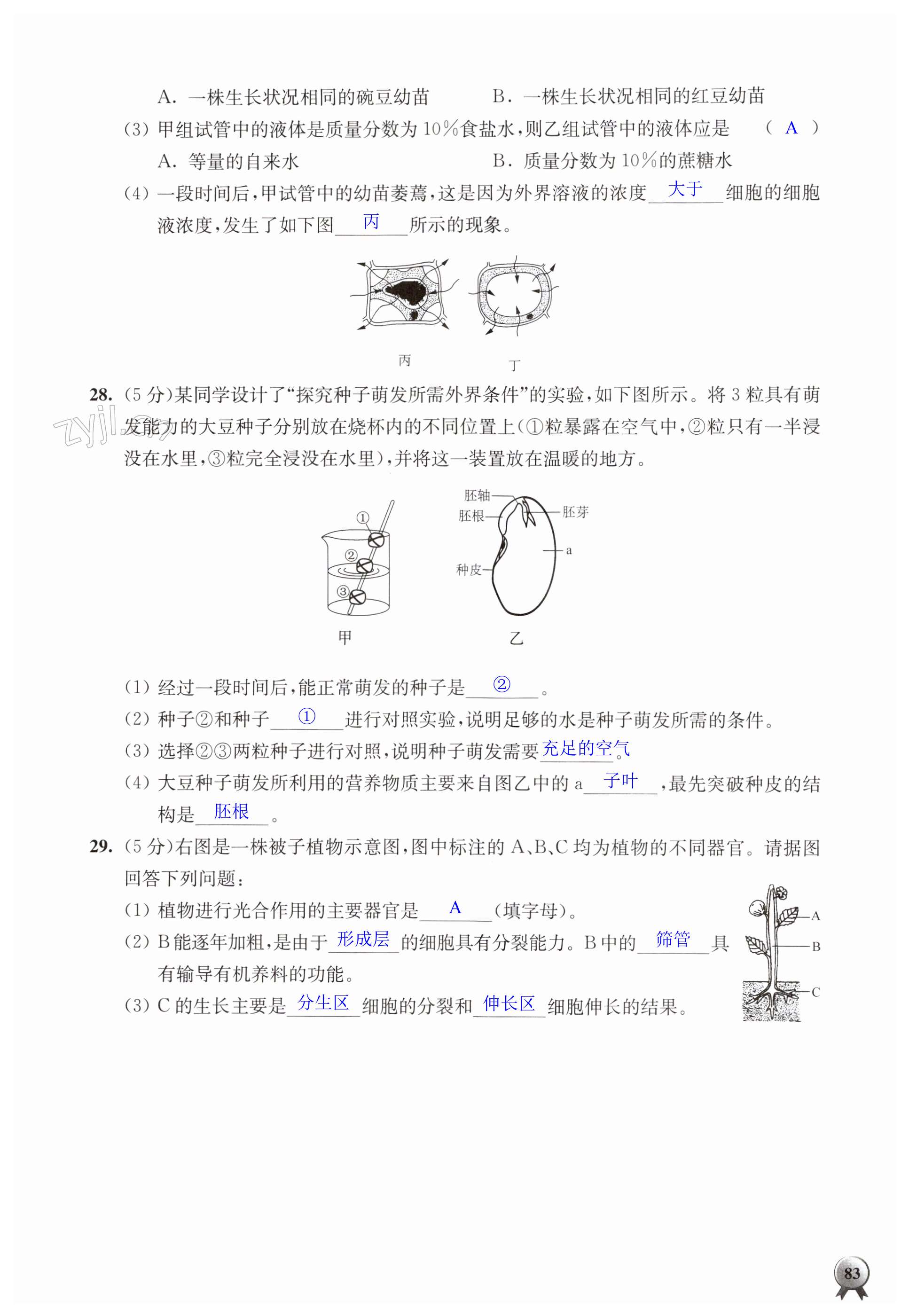 第83頁