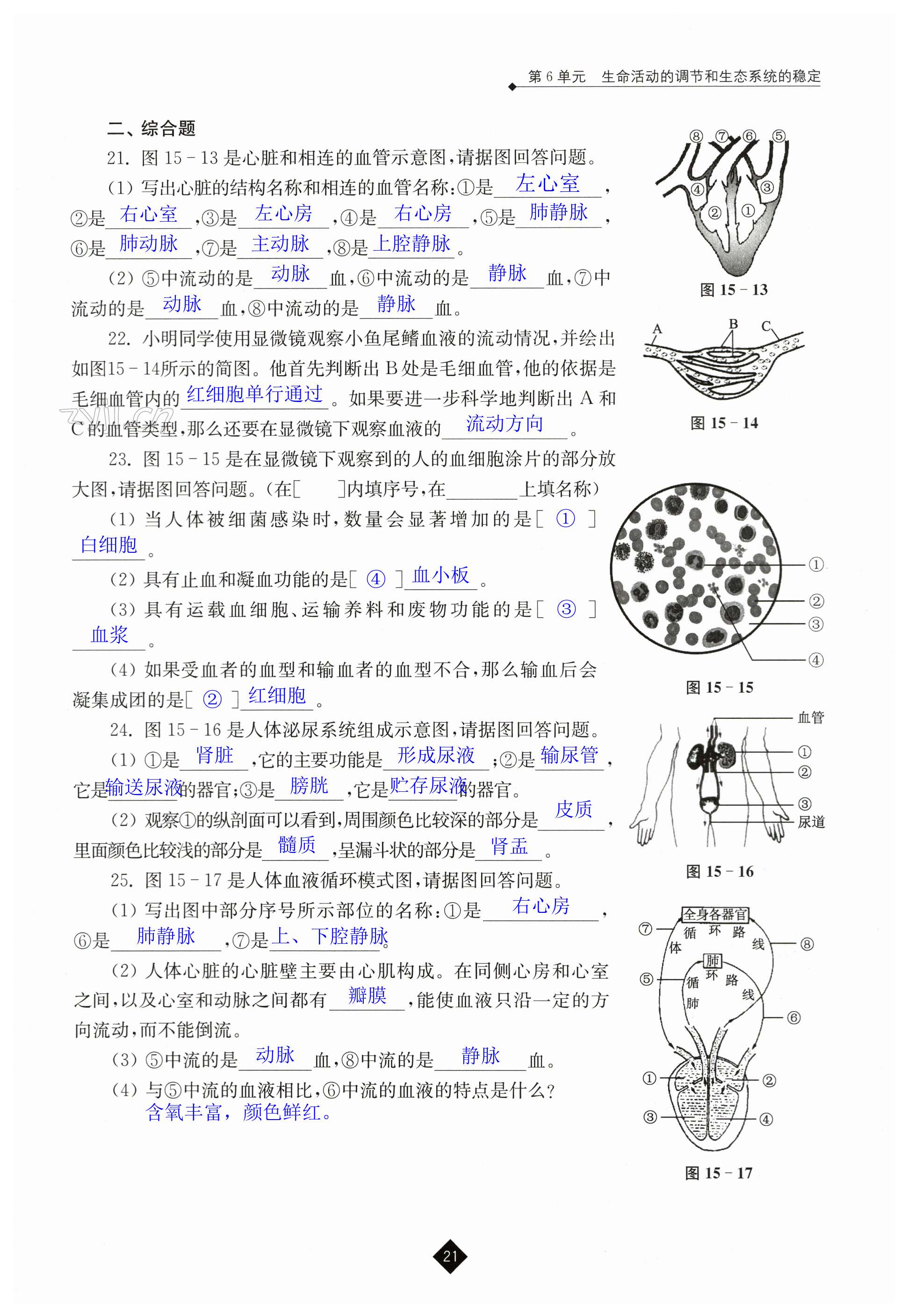 第21頁