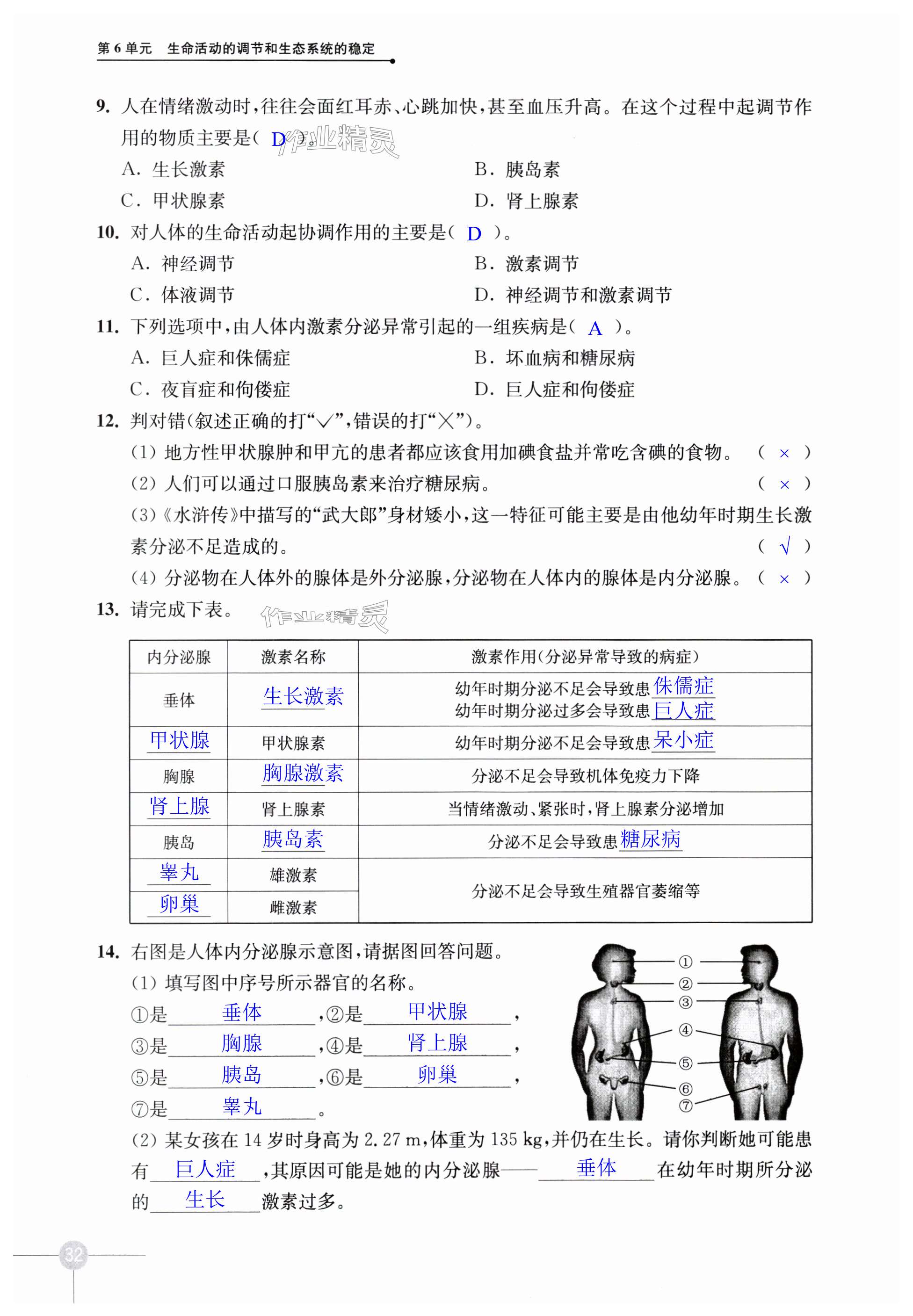 第32頁