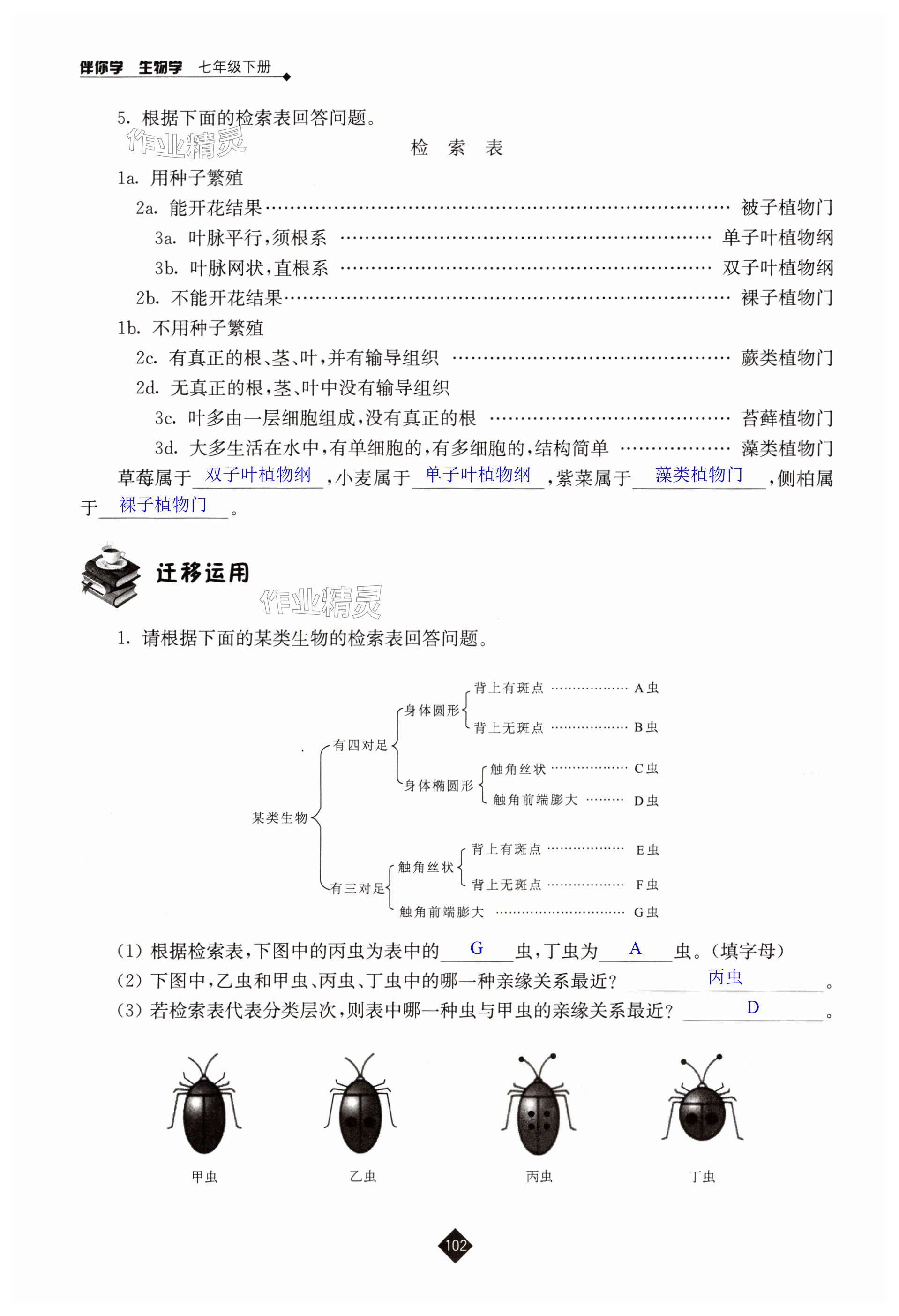 第102頁