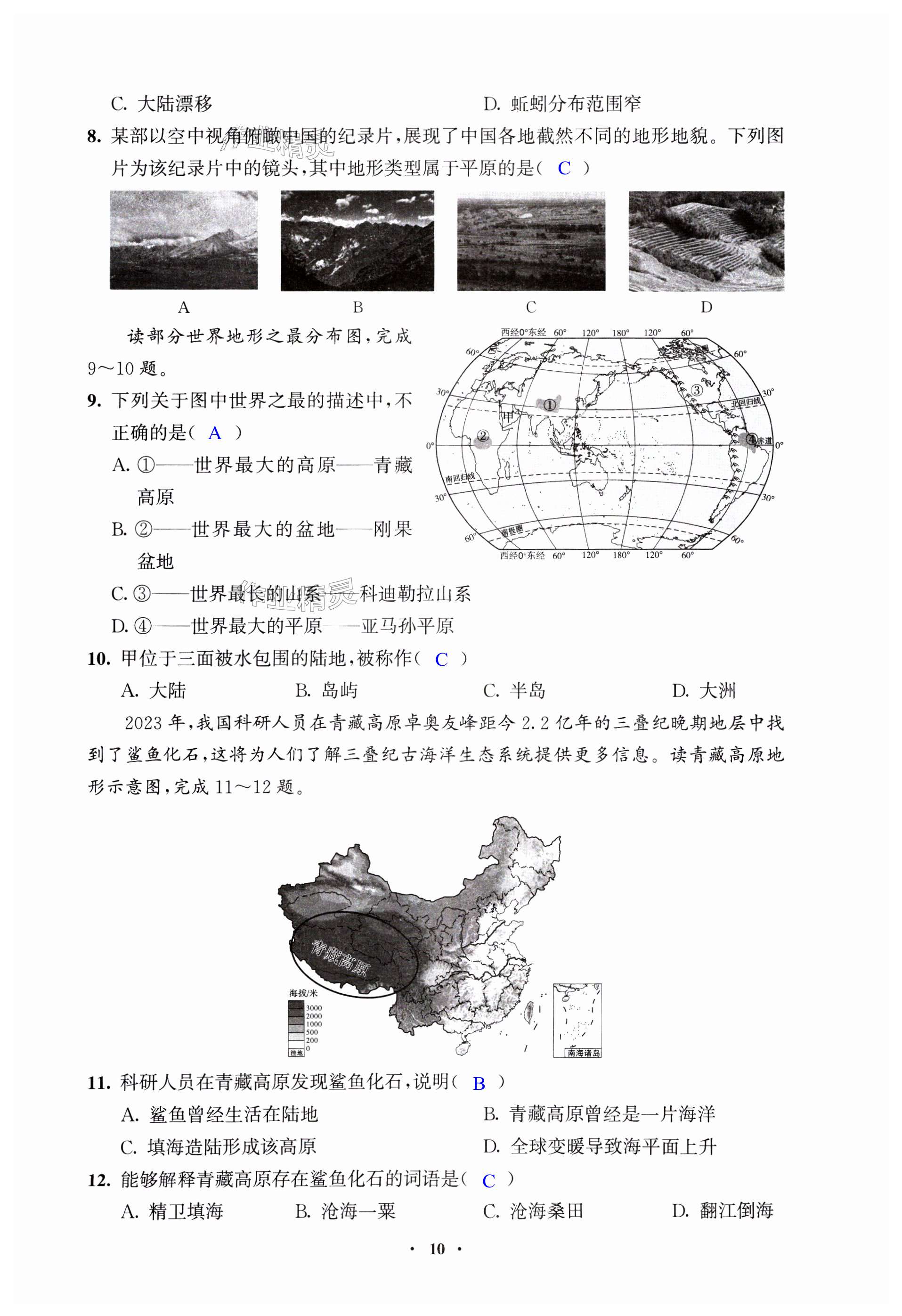 第10頁