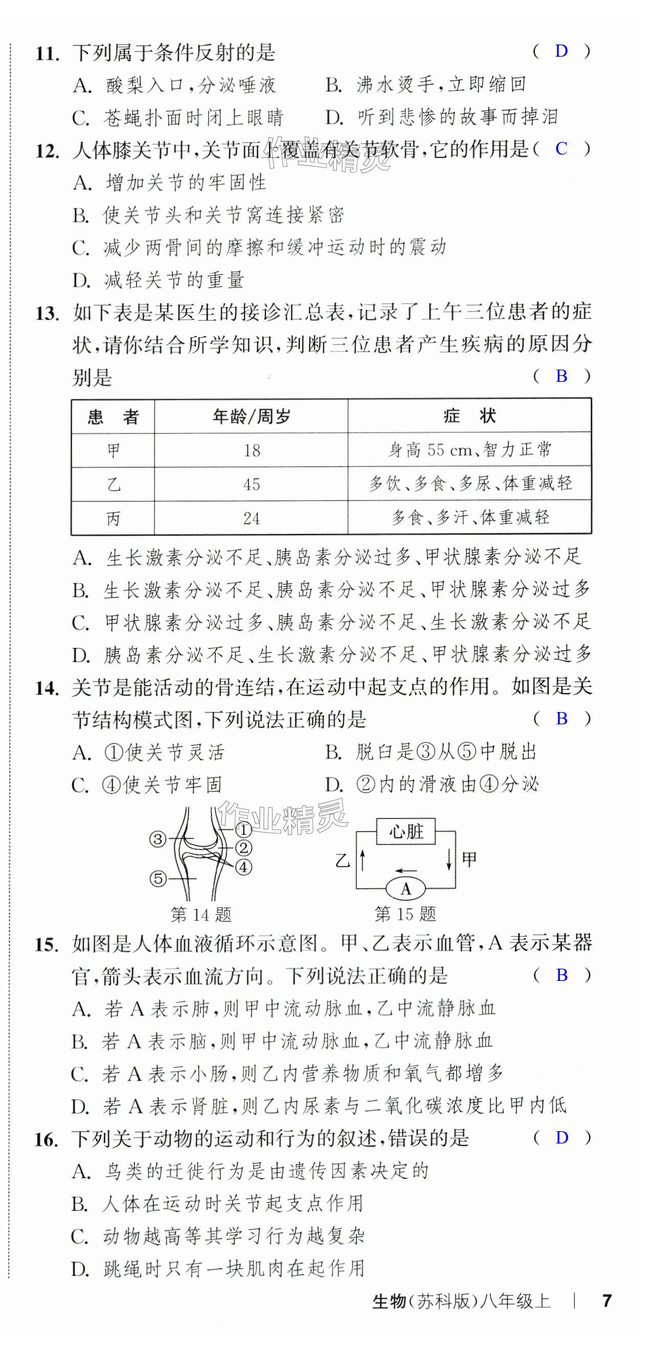 第21頁(yè)