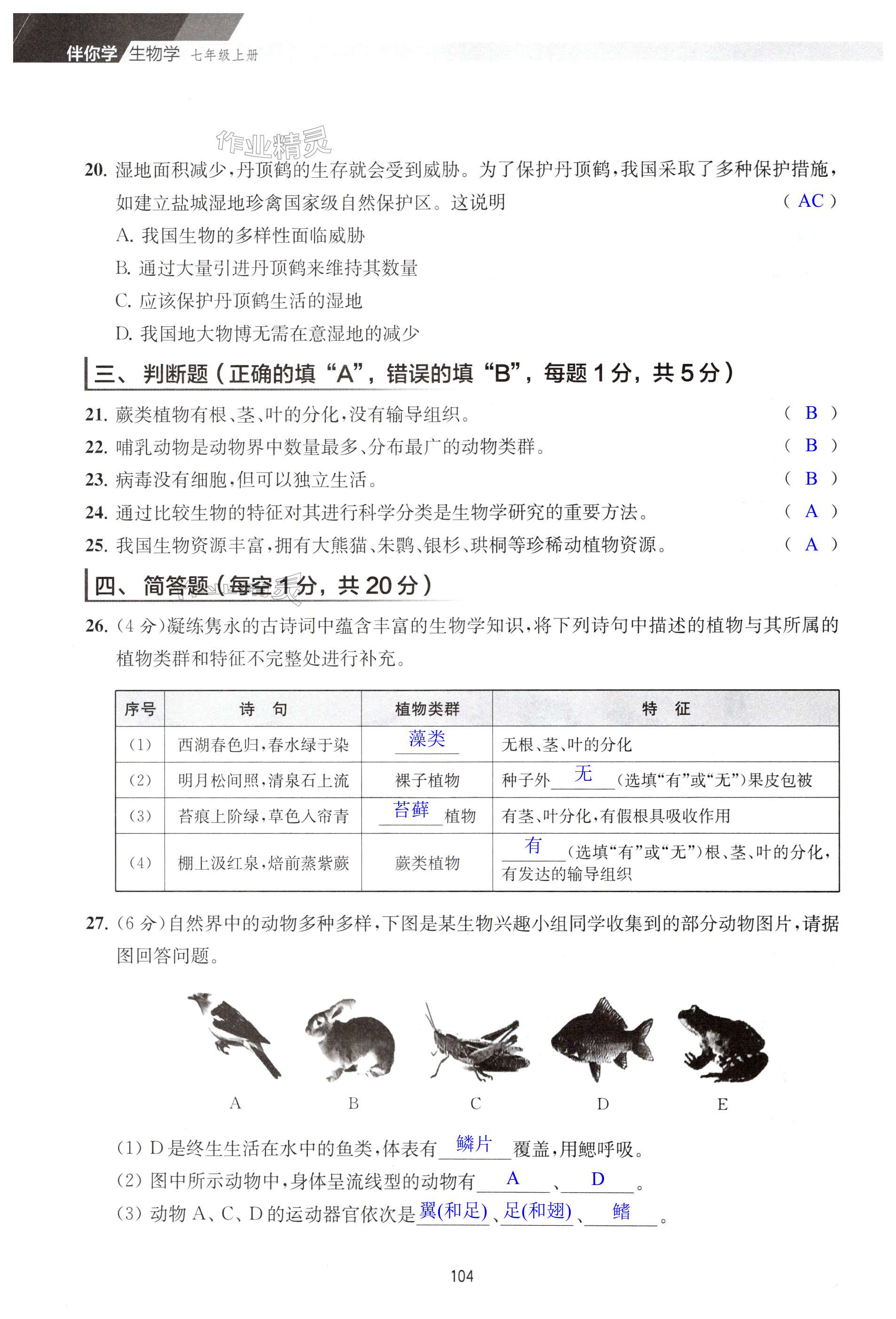 第104頁