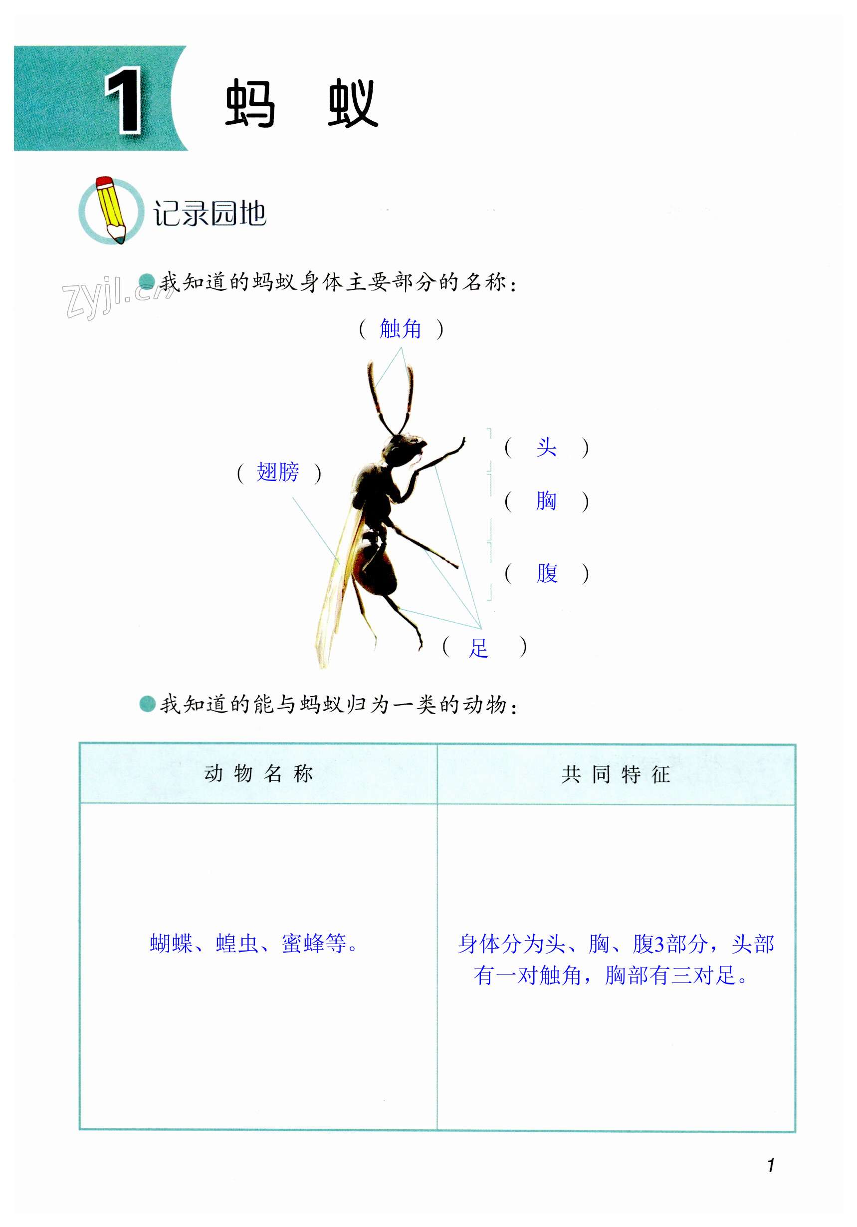 2023年学生活动手册四年级科学上册青岛版 第1页