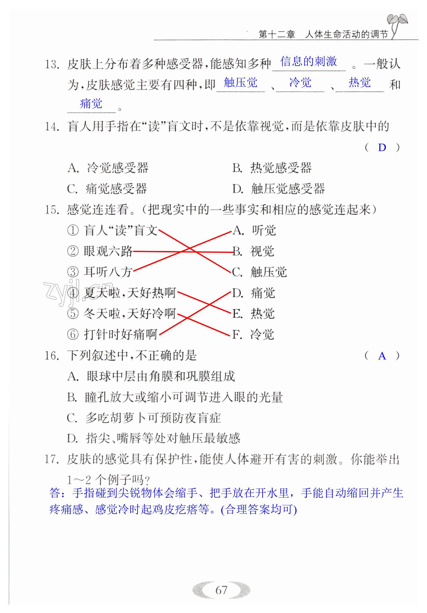第67页