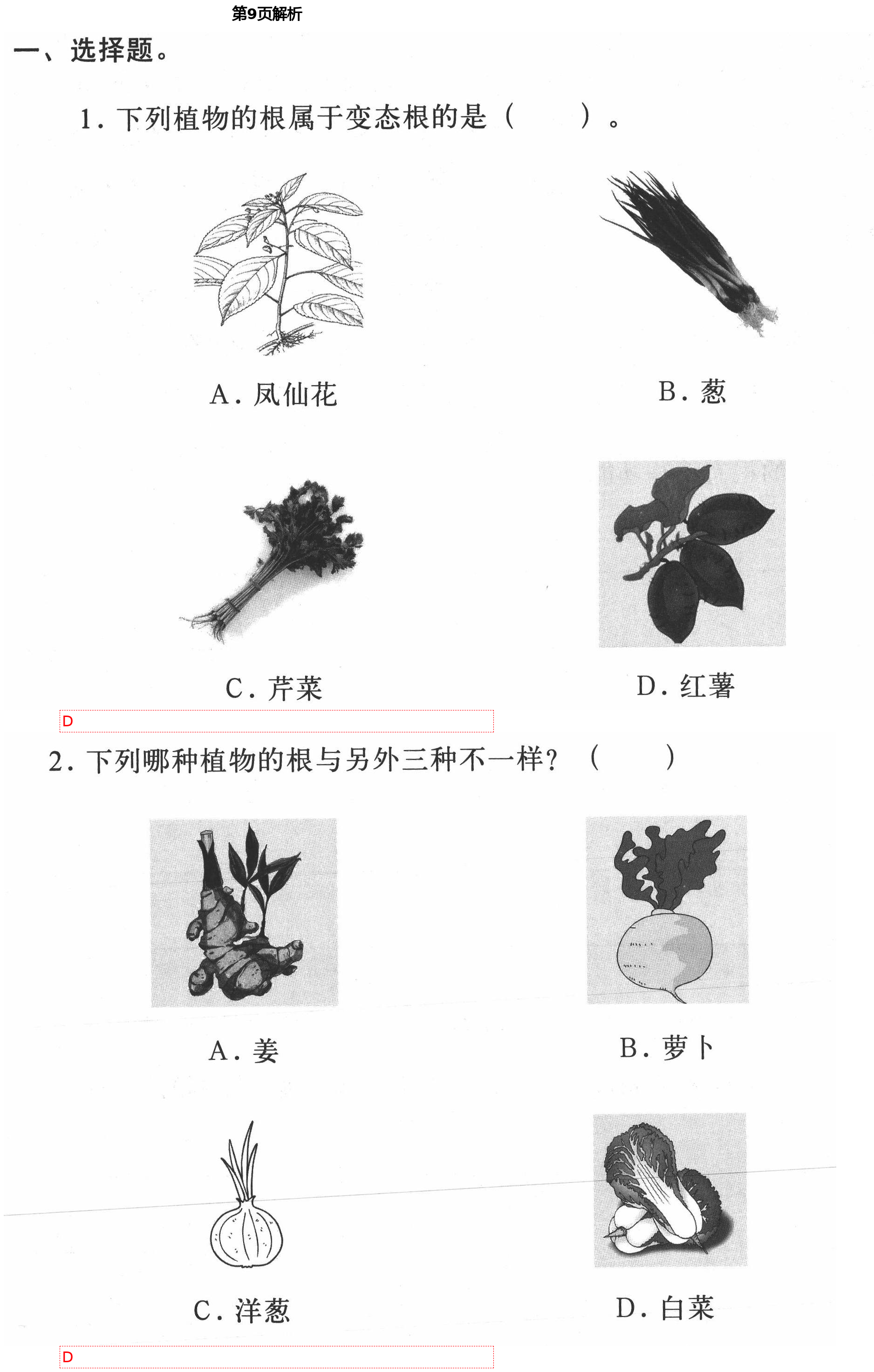 2021年新思维伴你学单元达标测试卷四年级科学下册教科版 第9页