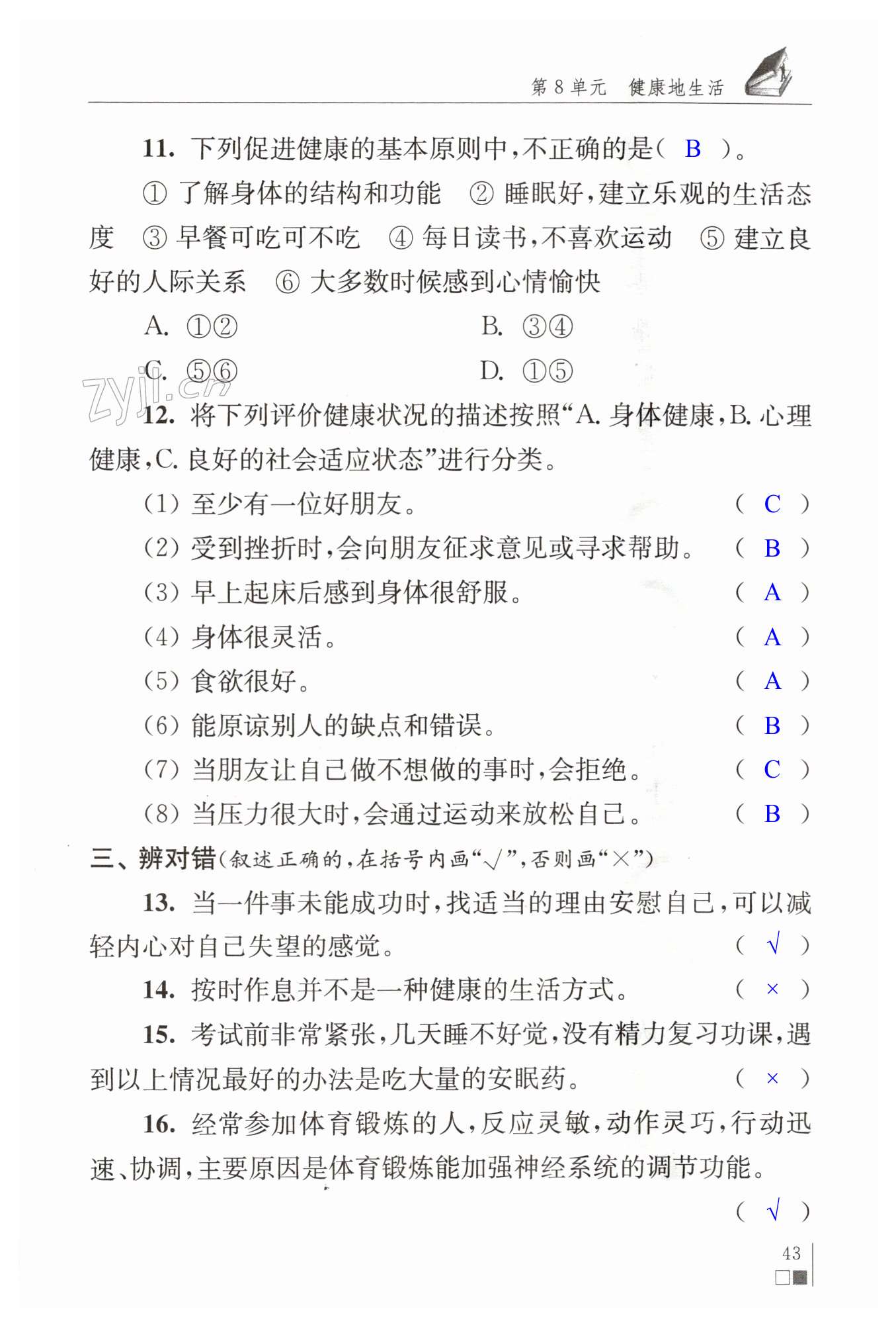 第43页