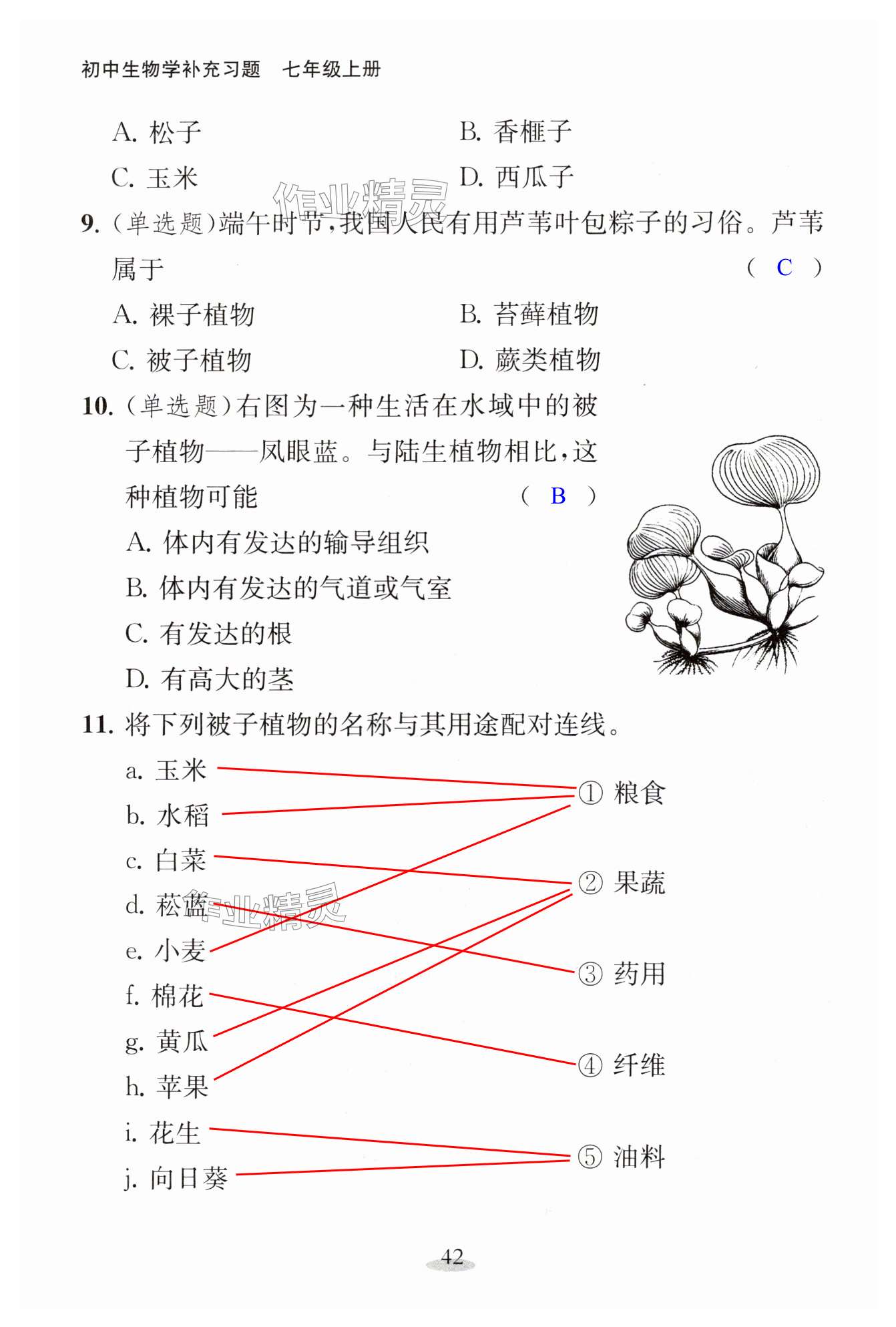 第42頁