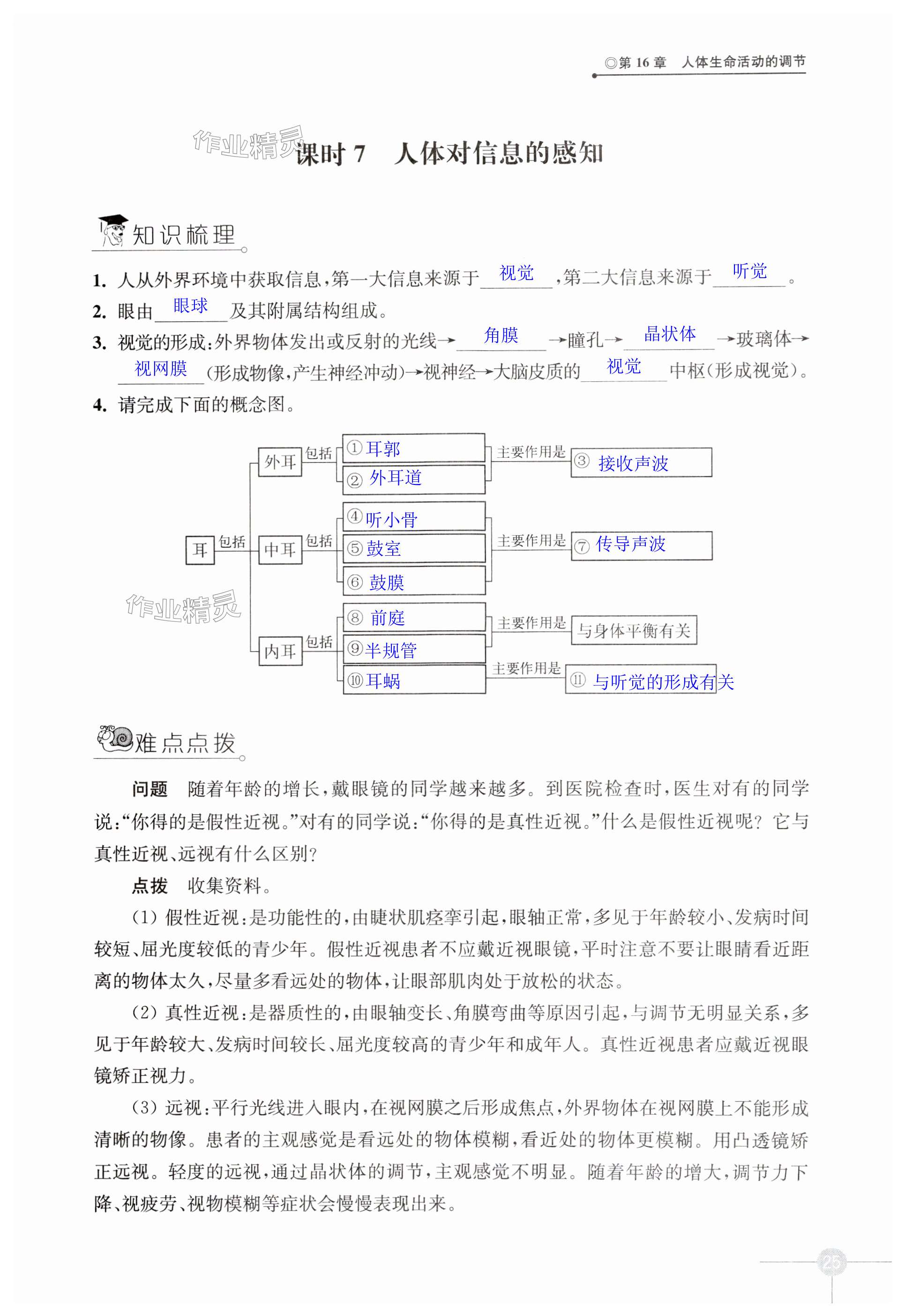 第25頁(yè)