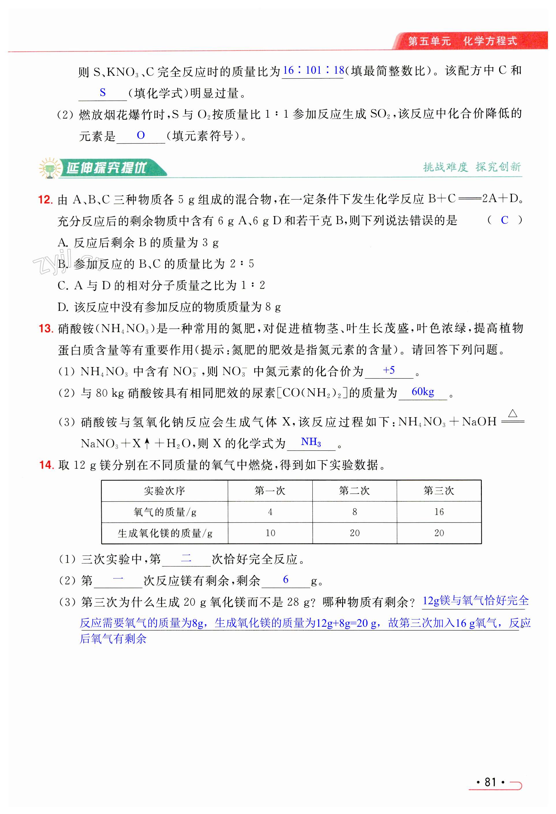 第81页