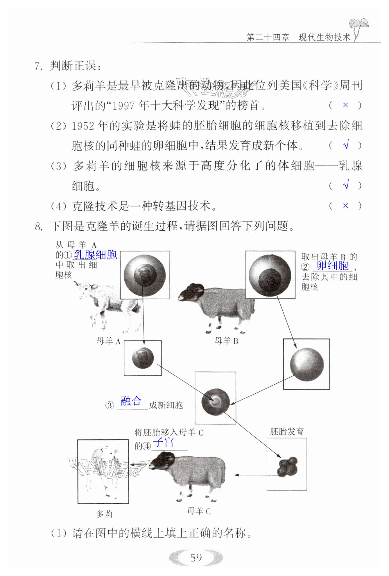 第59頁