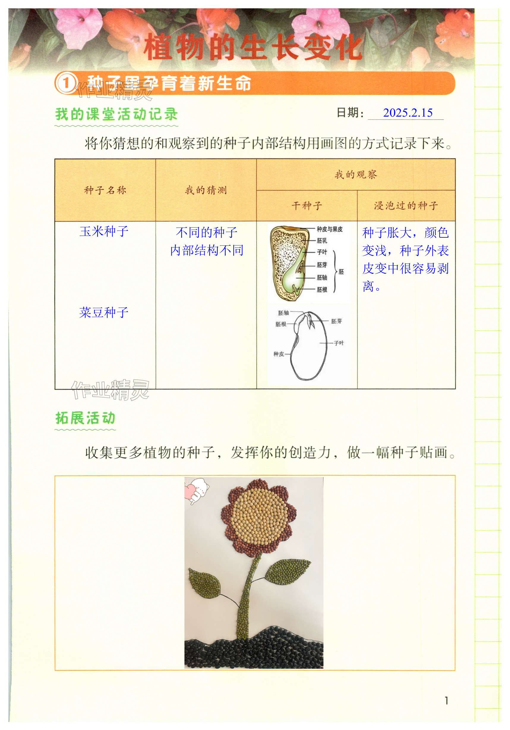 2025年學生活動手冊四年級科學下冊教科版 第1頁