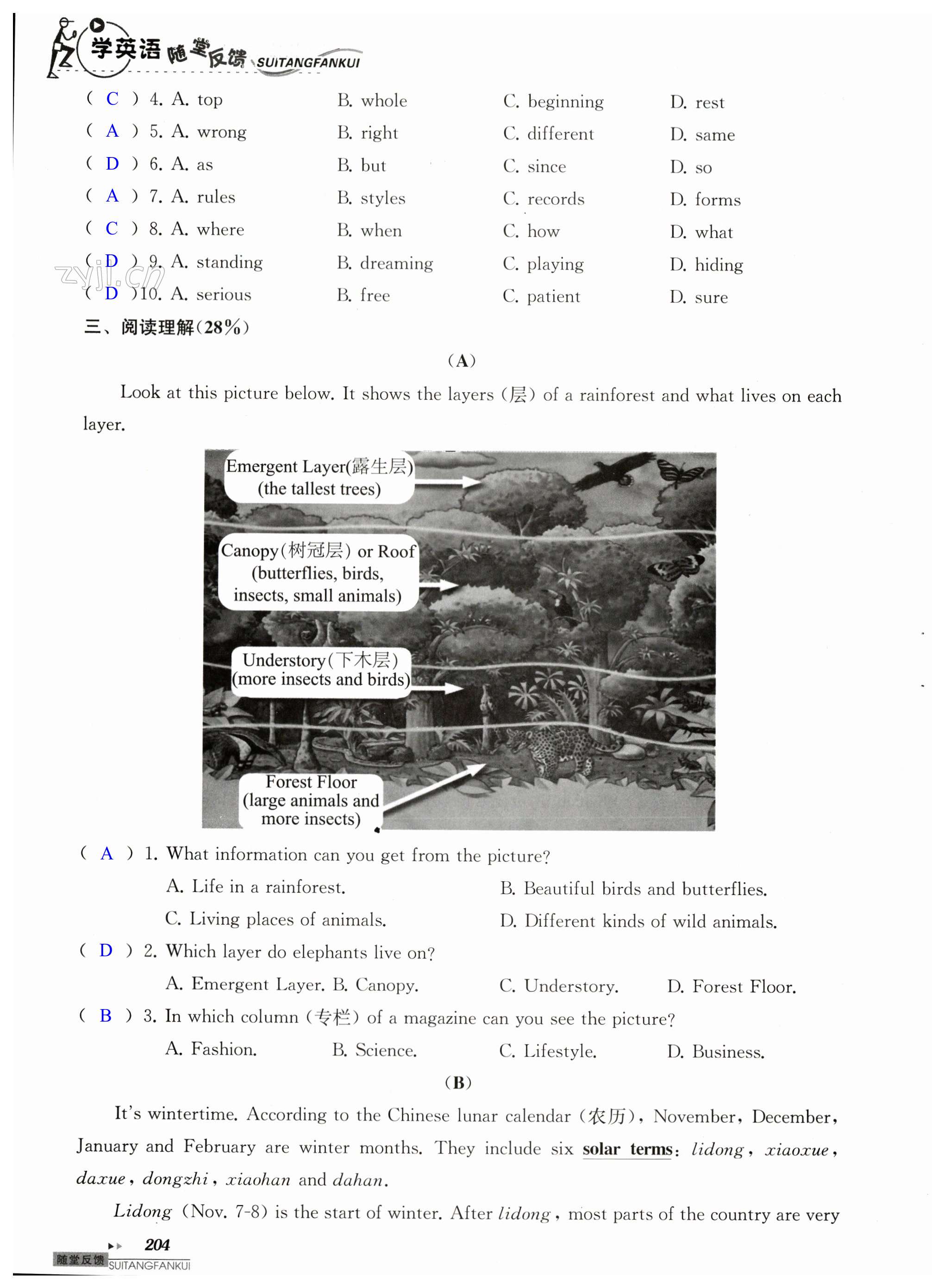 第204页