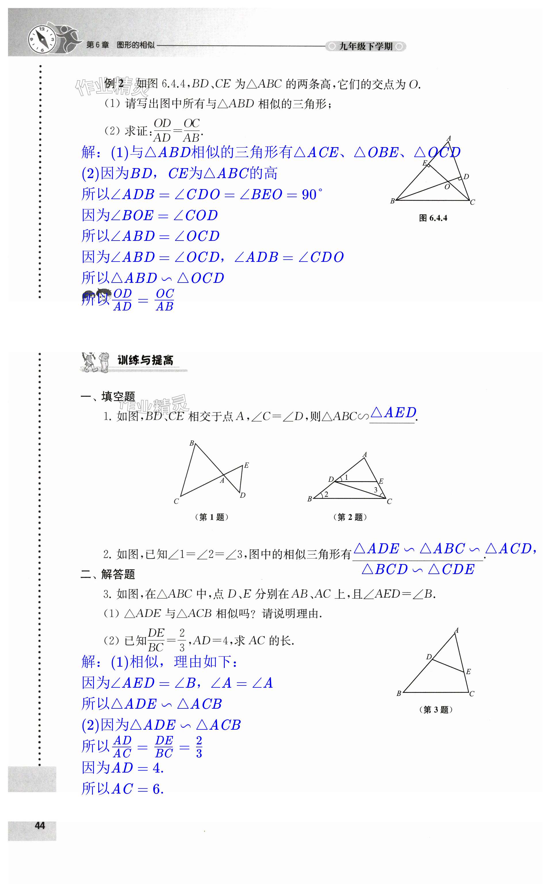 第44頁