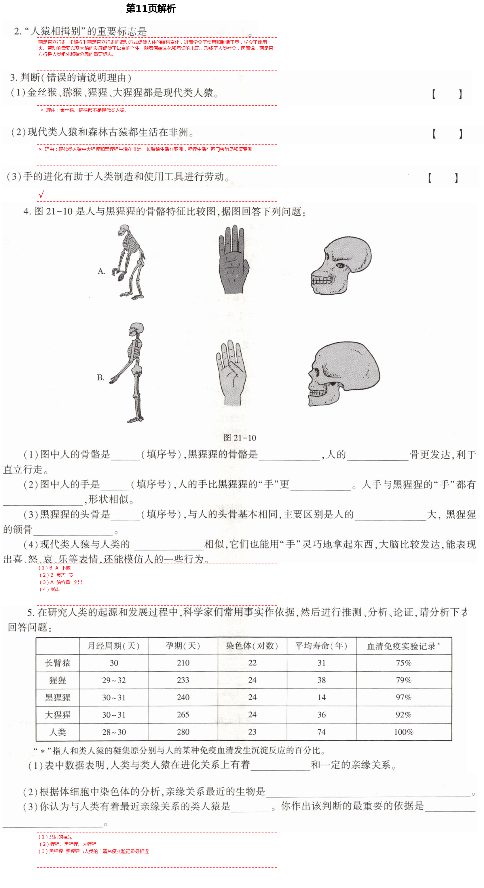 2021年基礎(chǔ)訓練八年級生物下冊北師大版大象出版社 第11頁