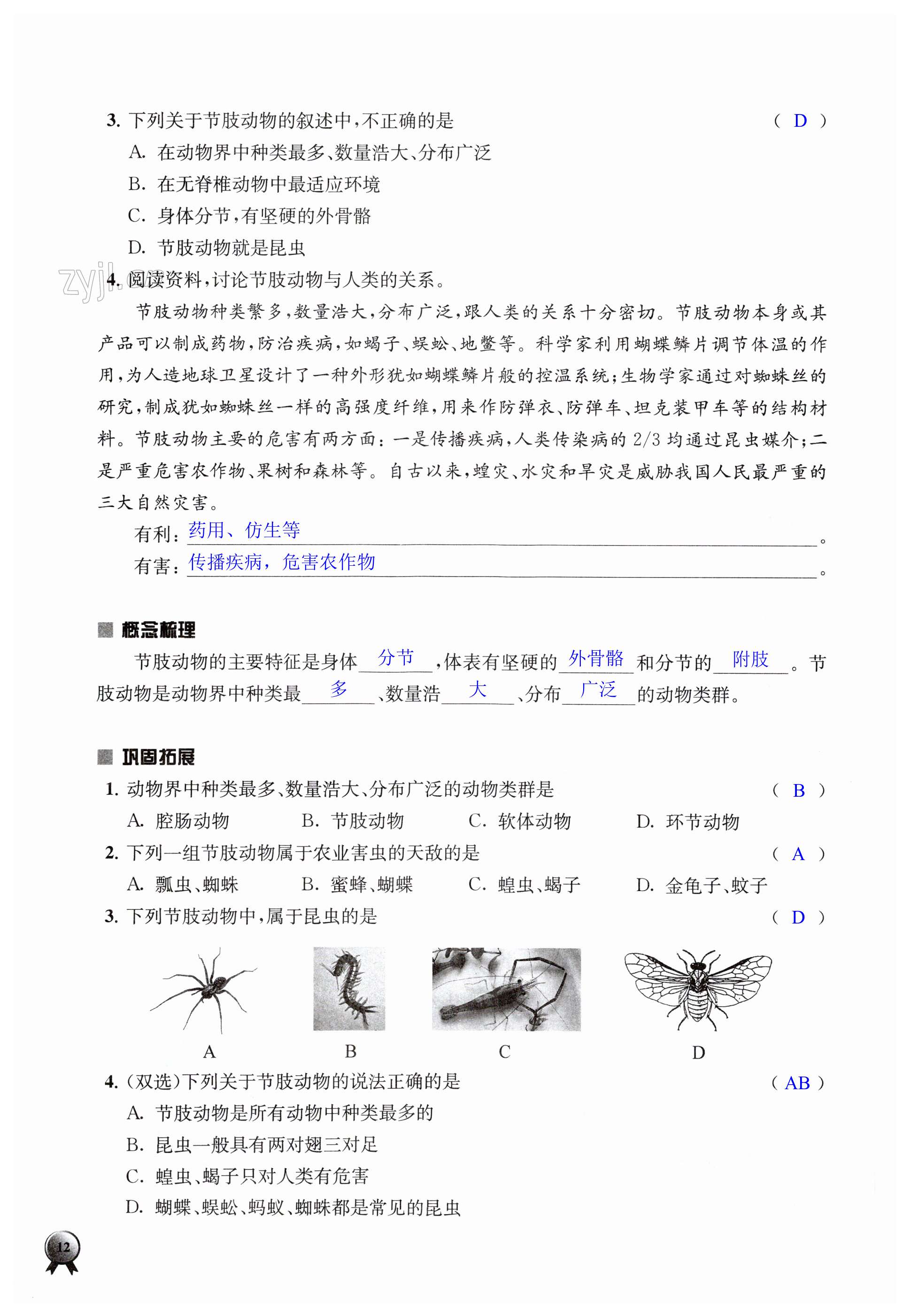 第12页