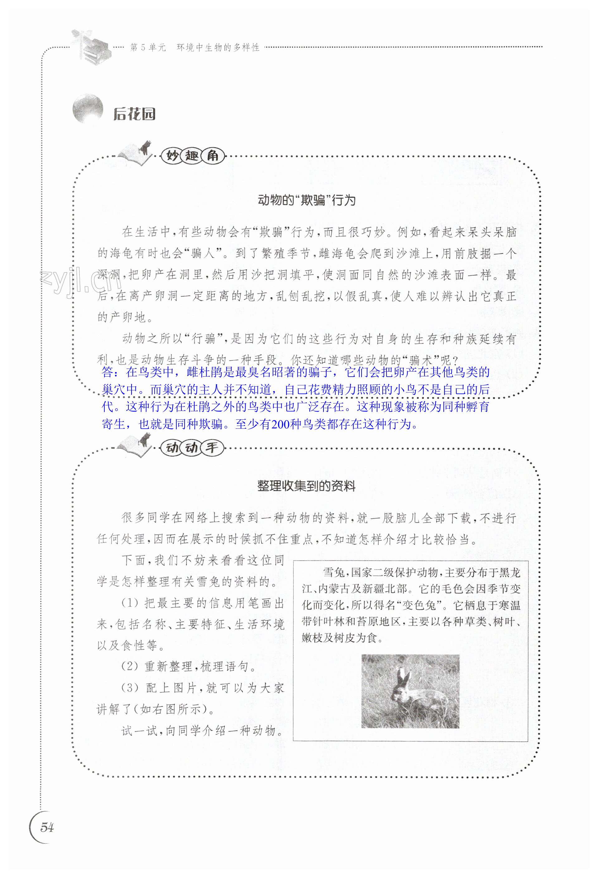 第54页