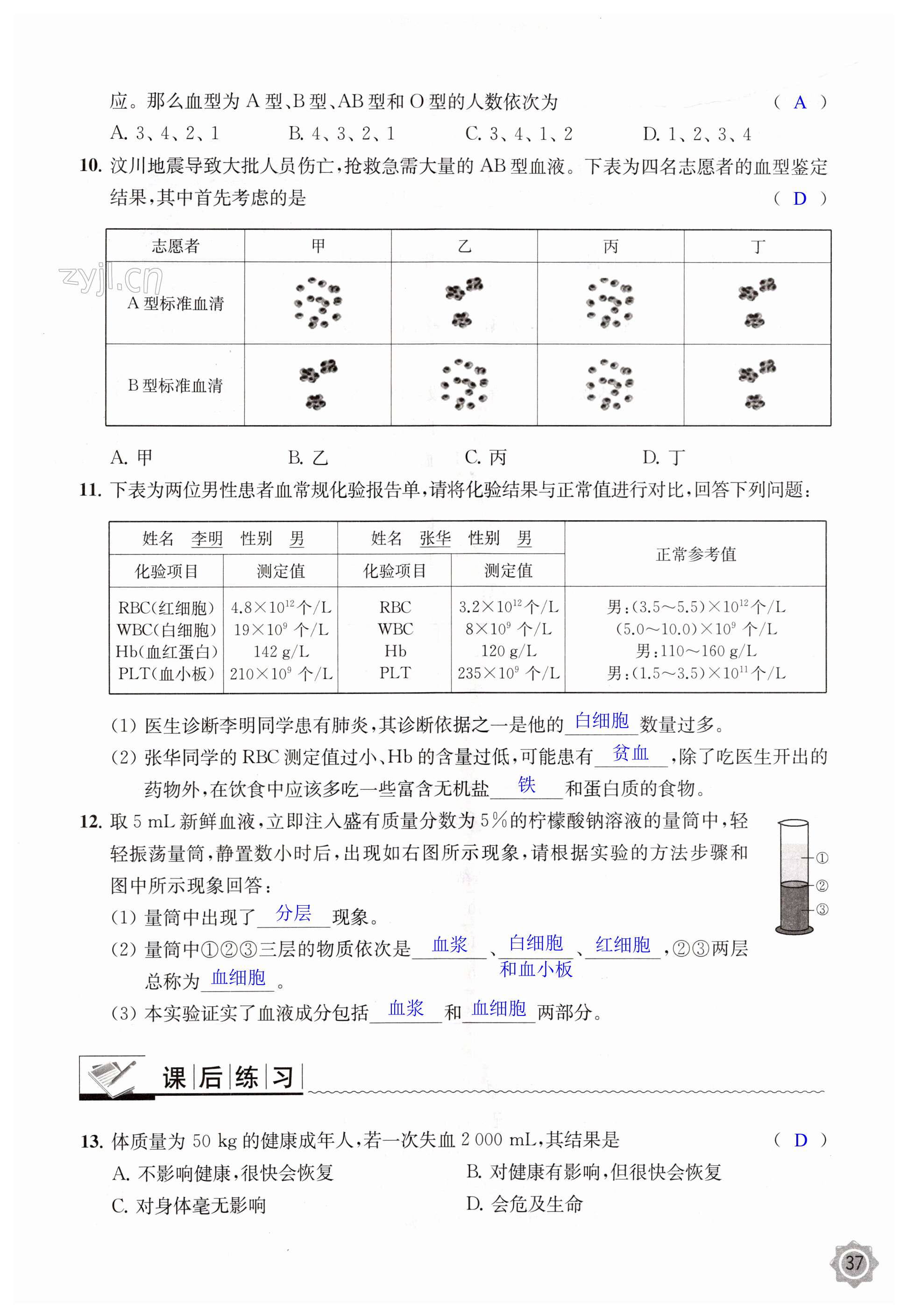 第37頁(yè)