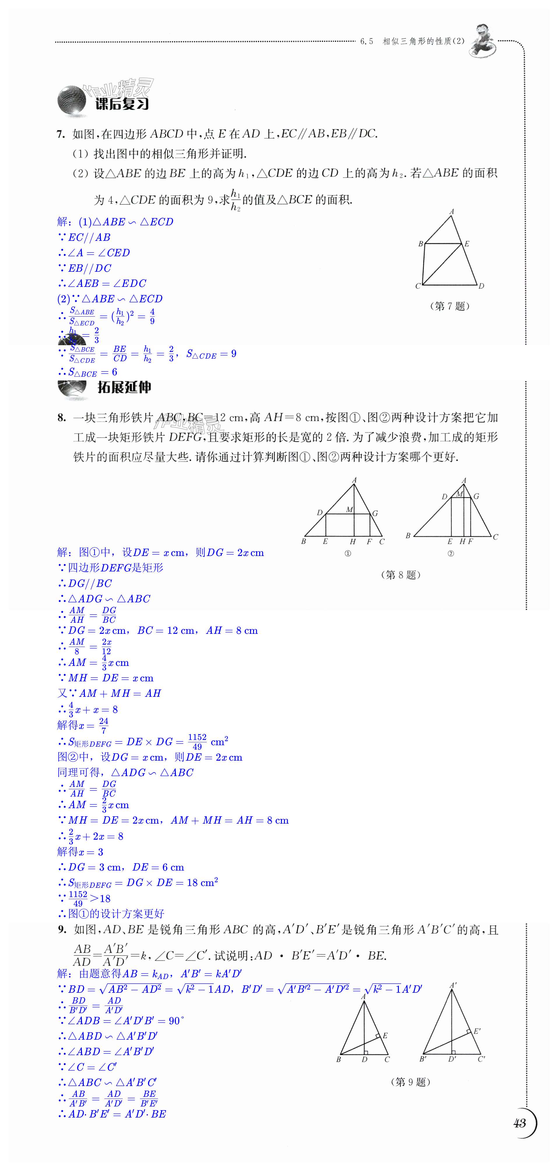 第43頁