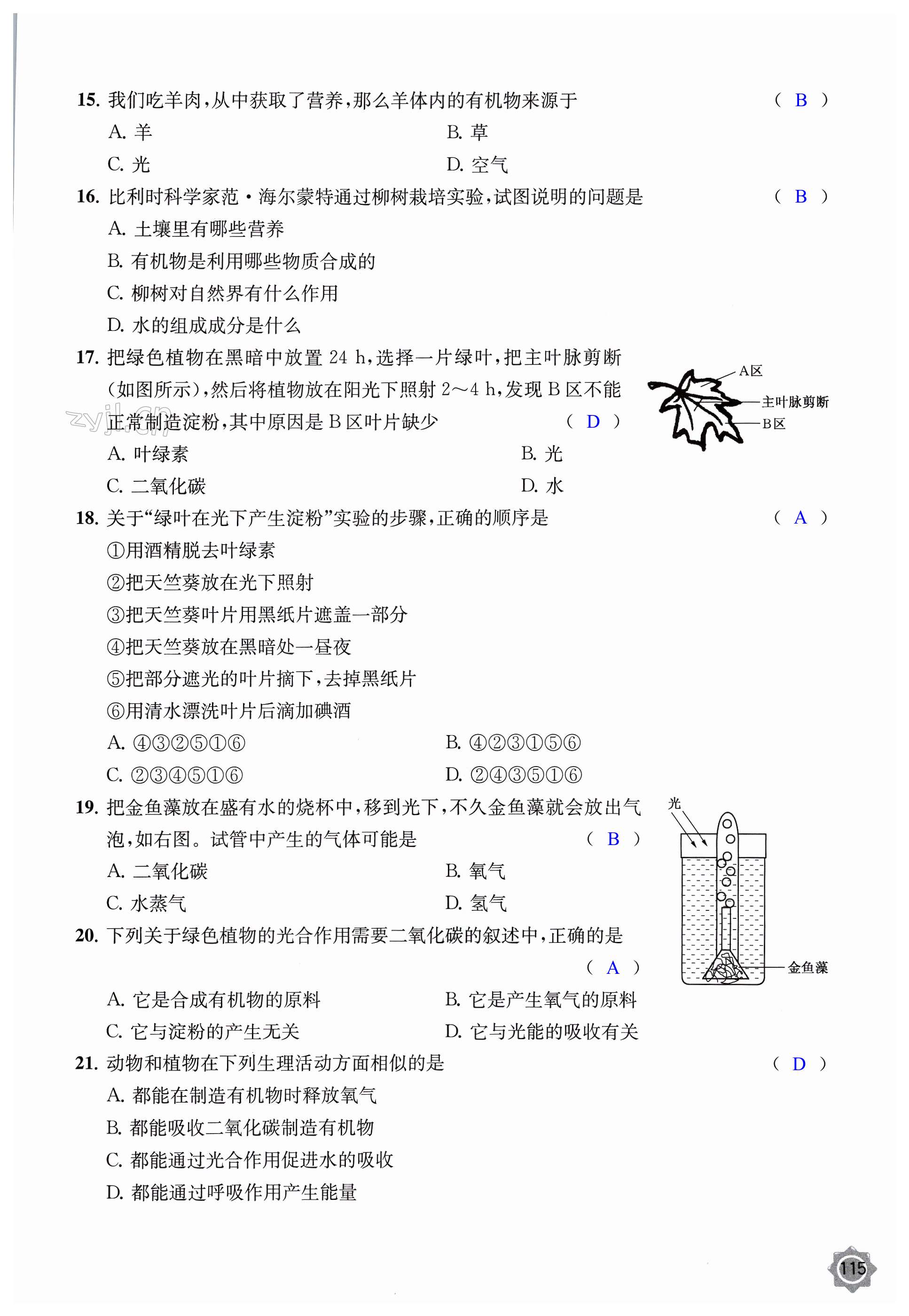 第115页