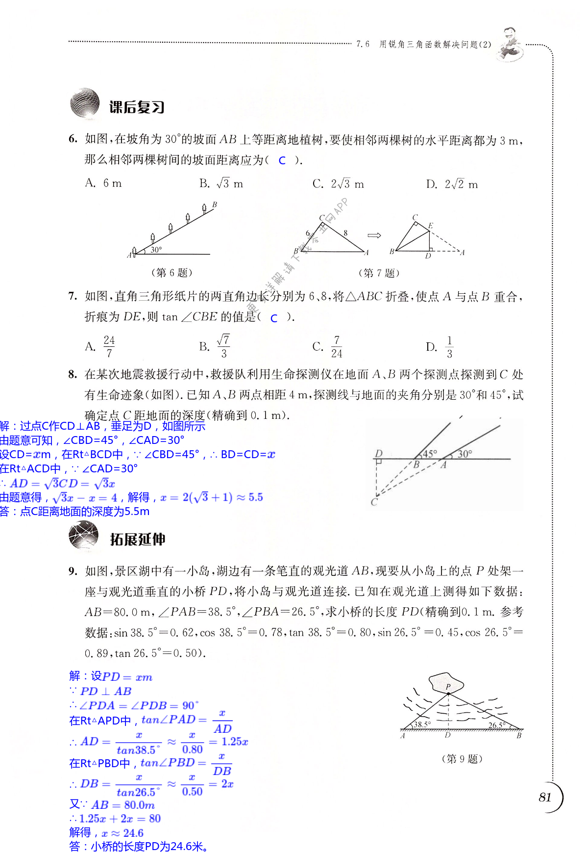 第81页