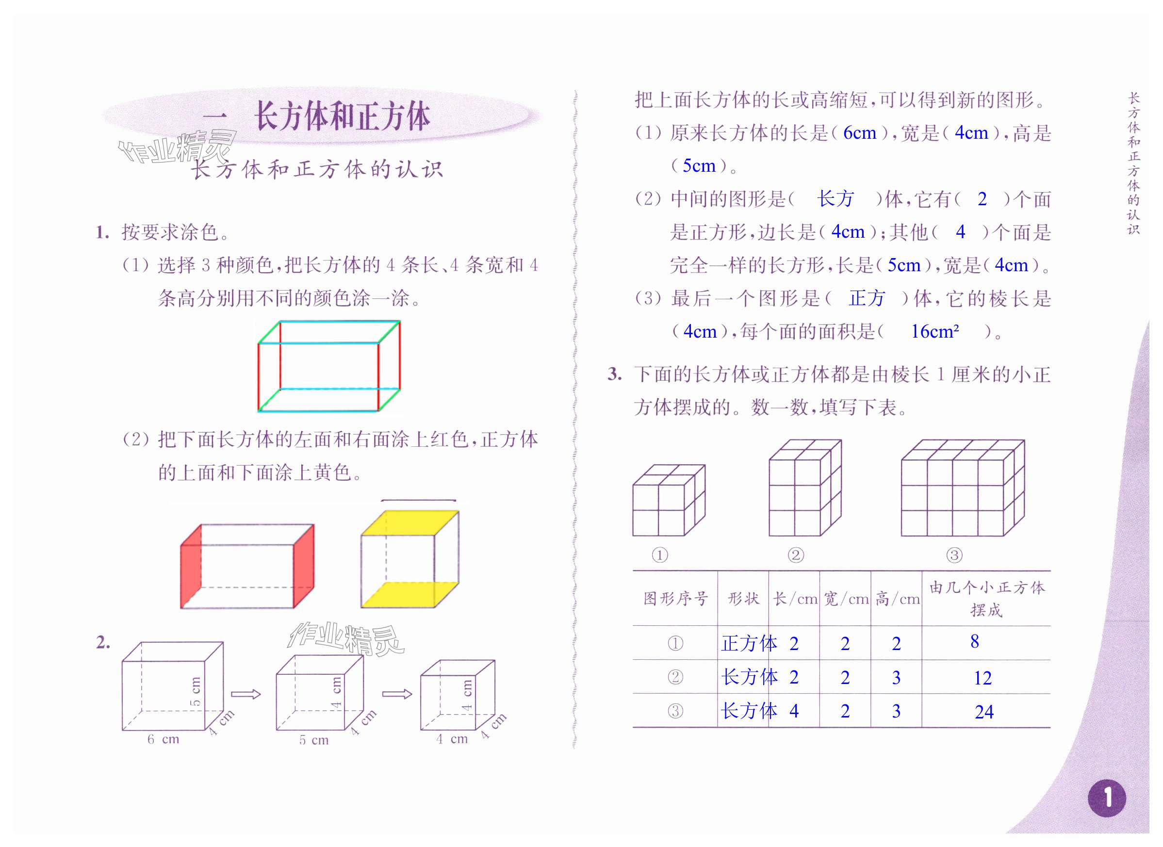 2024年練習(xí)與測(cè)試六年級(jí)數(shù)學(xué)上冊(cè)蘇教版彩色版提優(yōu)版 第1頁