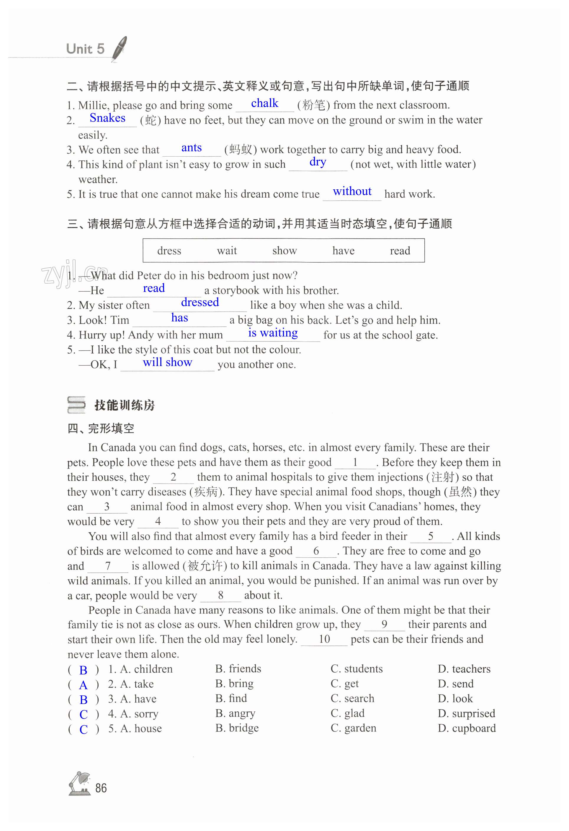 第86页