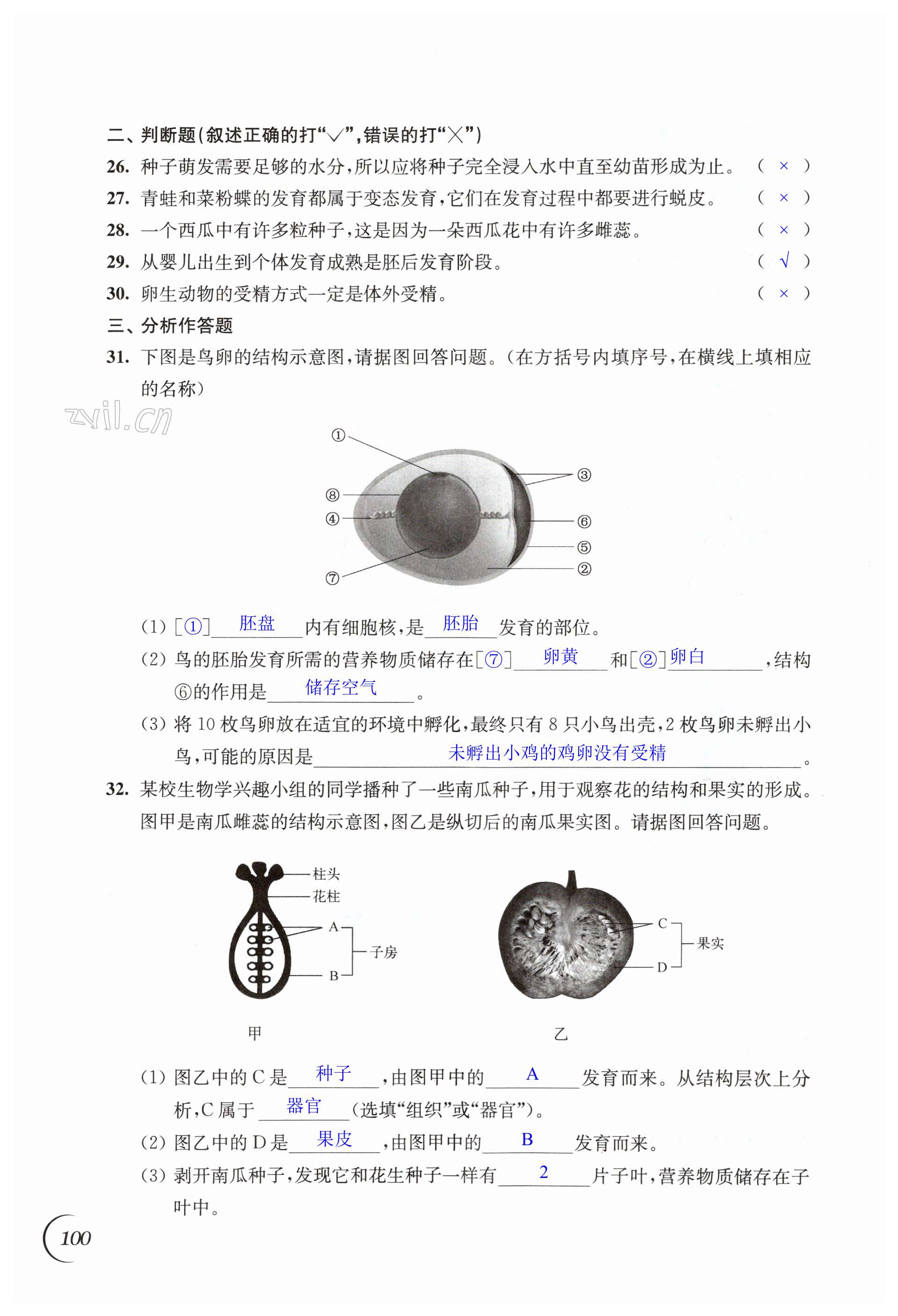 第100頁