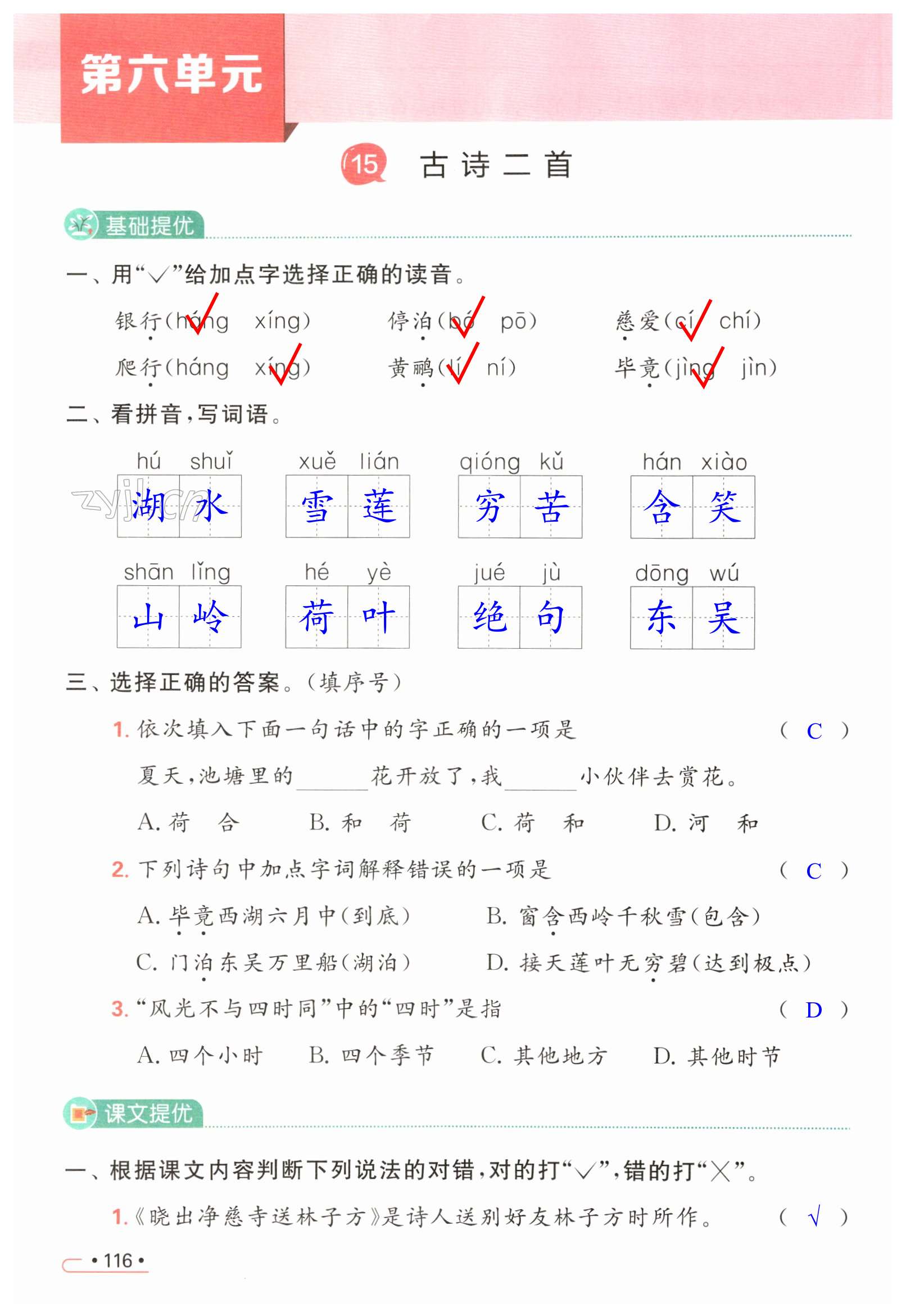 第116页