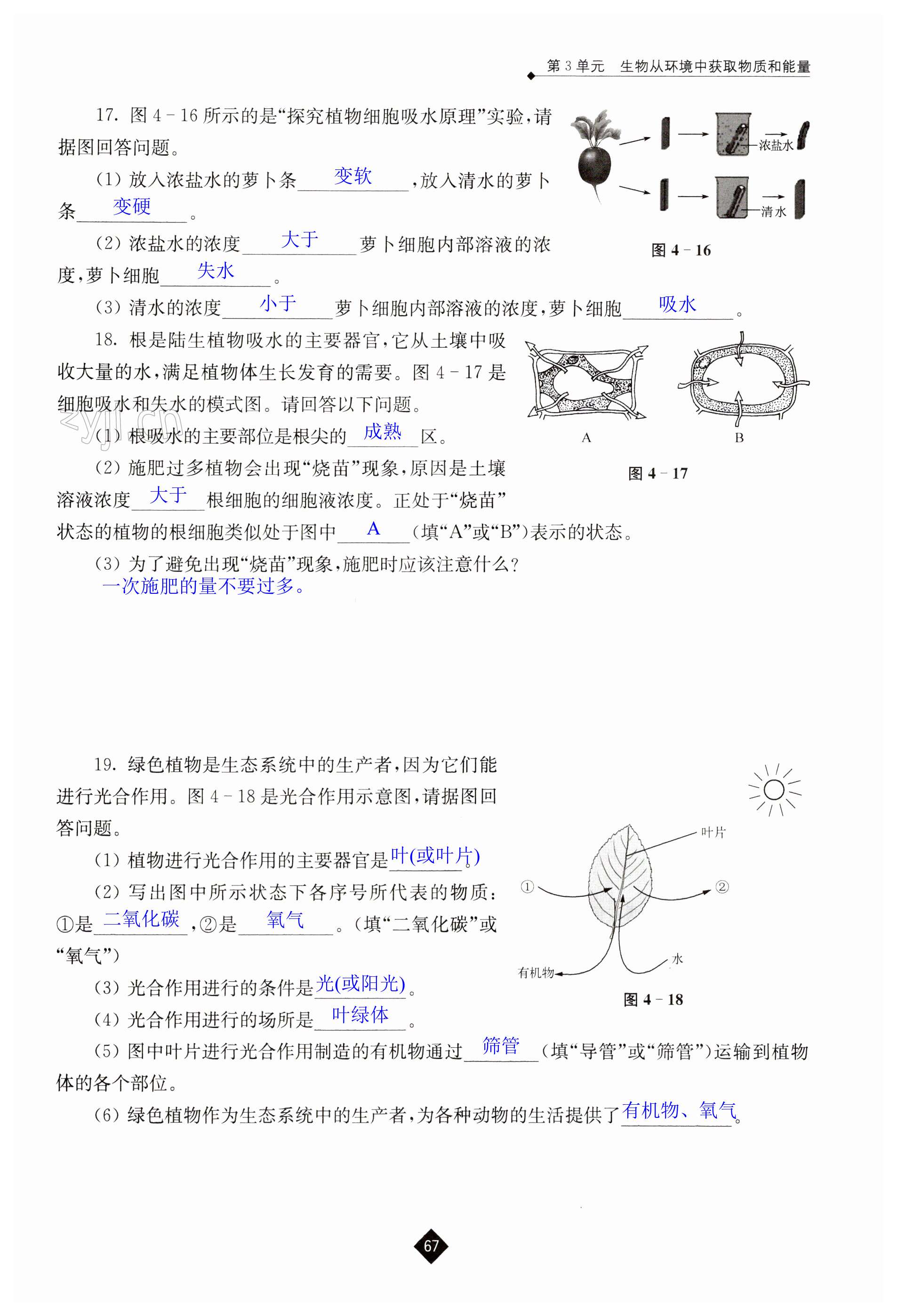 第67頁