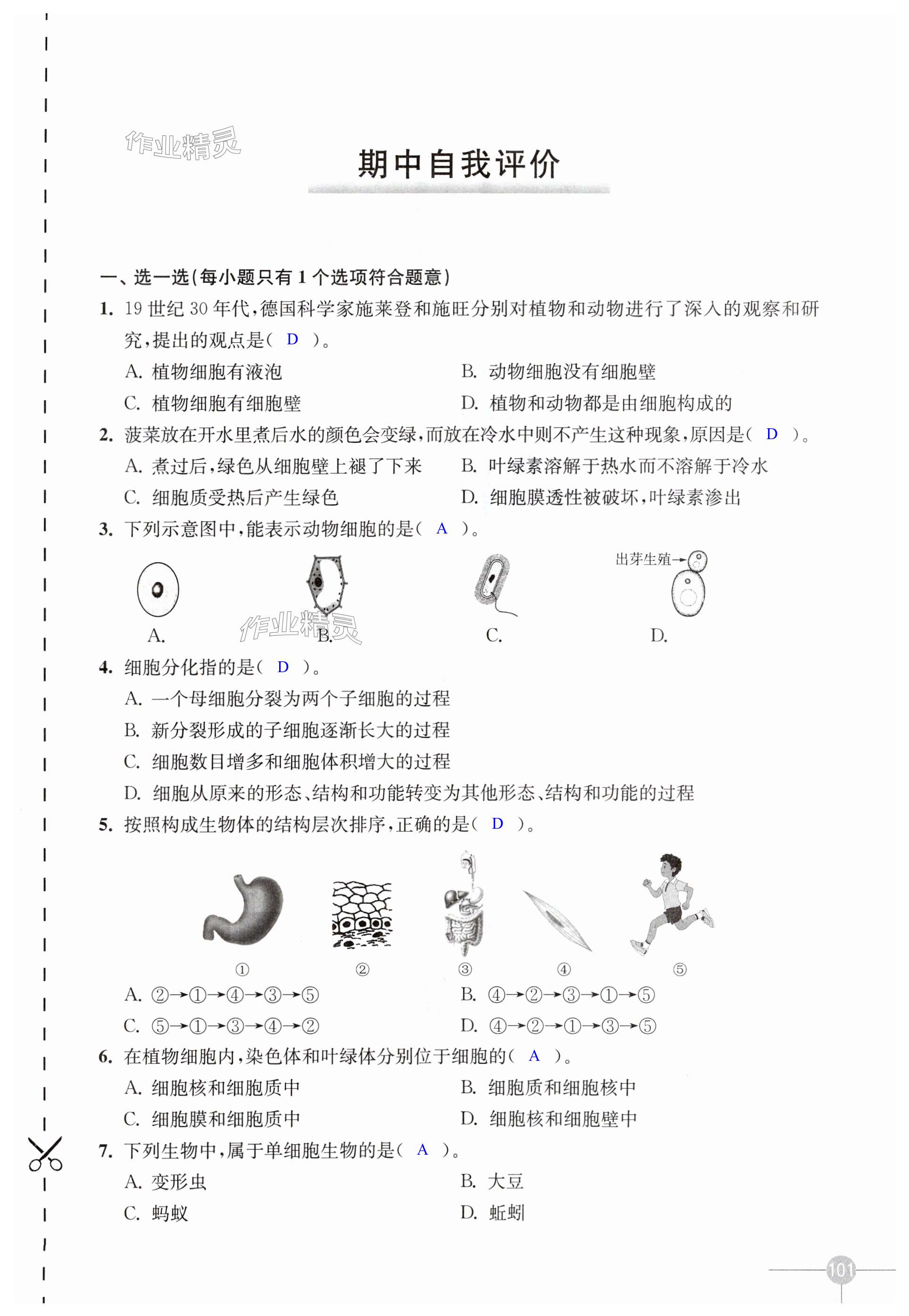 第101页